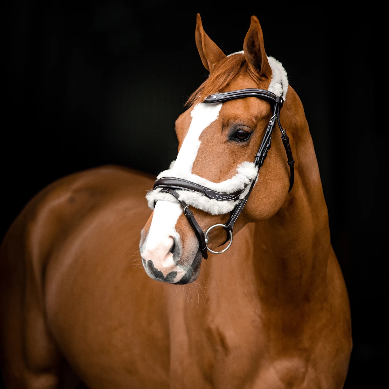 Horze Rome Anatomische Trense – Bild 5