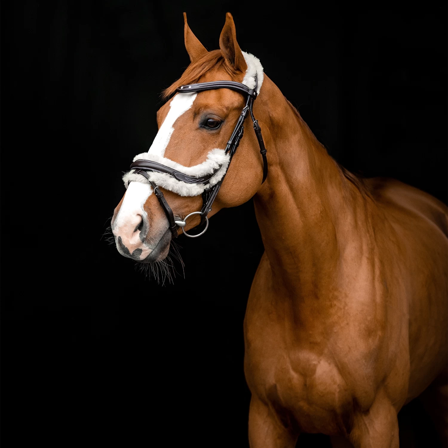 Horze Rome Anatomische Trense – Bild 6