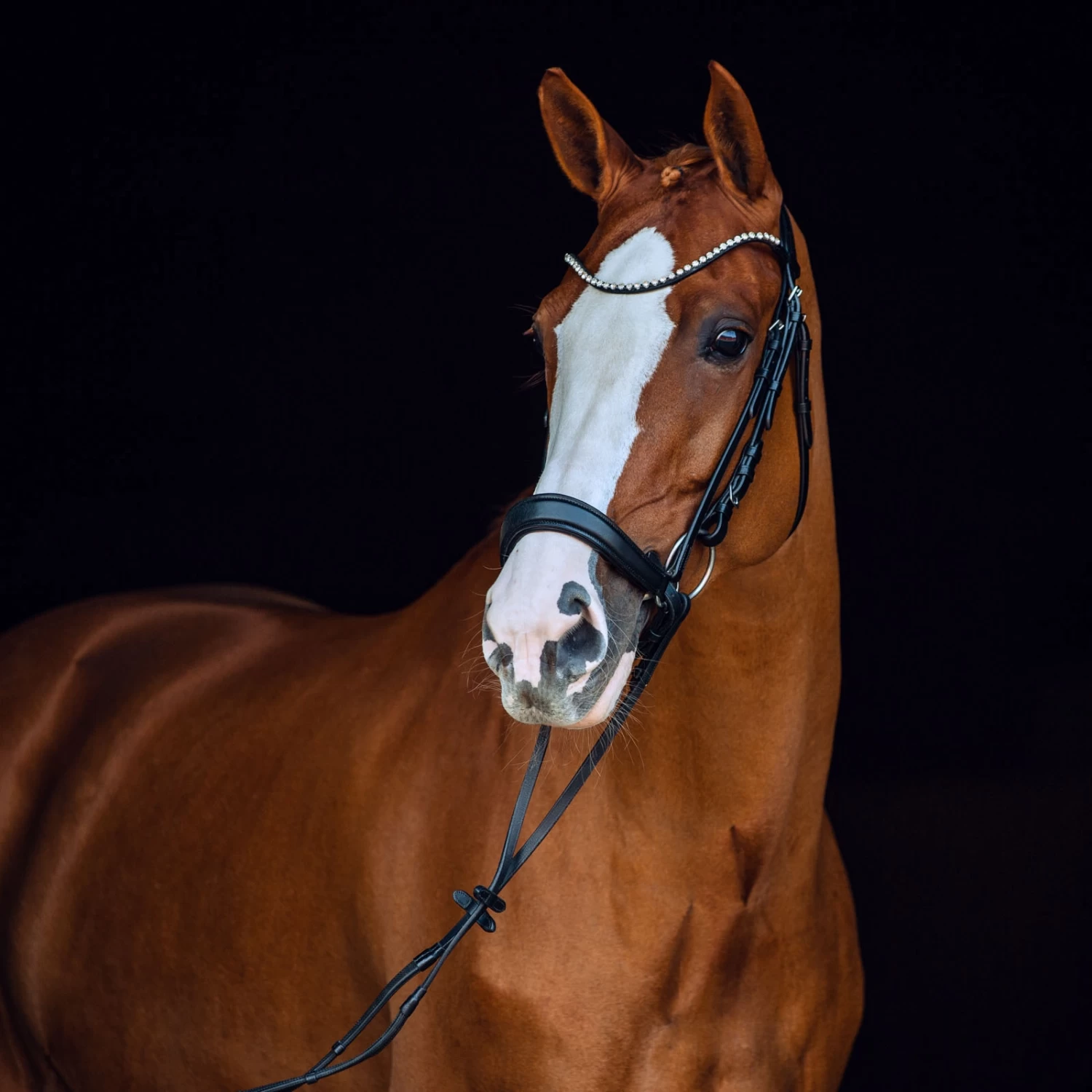 Horze Positano Anatomische Hannoveranische Trense – Bild 2