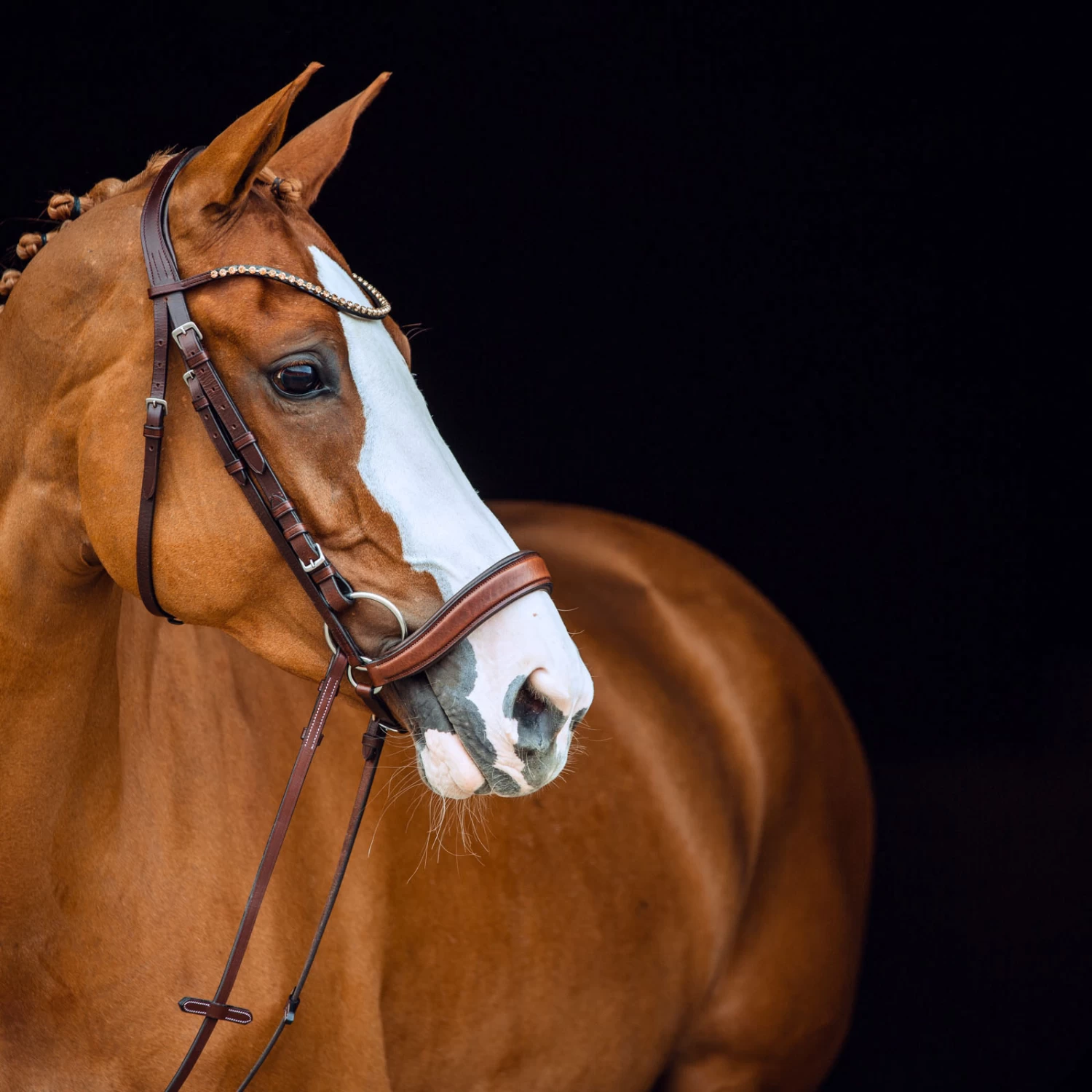 Horze Positano Anatomische Hannoveranische Trense – Bild 7