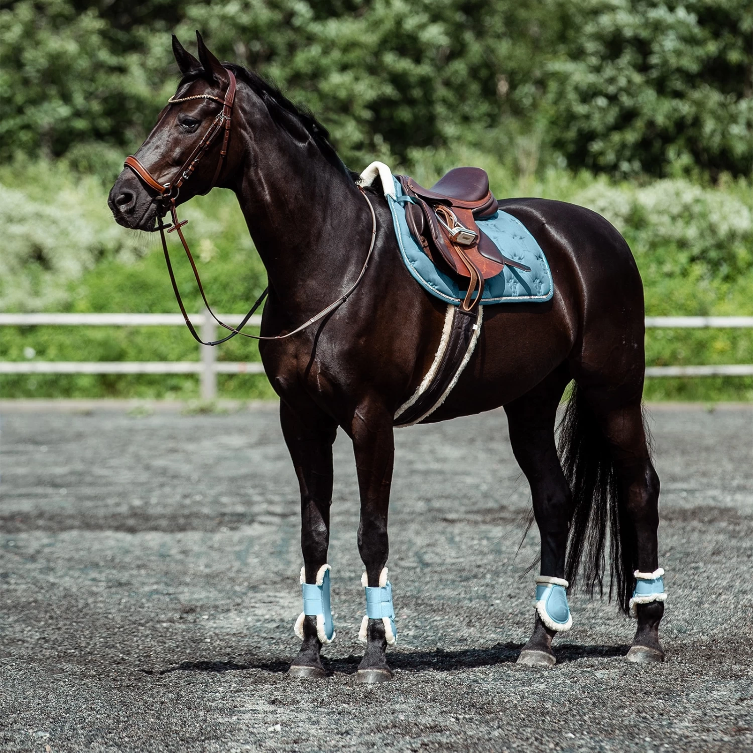 Horze Positano Anatomische Hannoveranische Trense – Bild 8