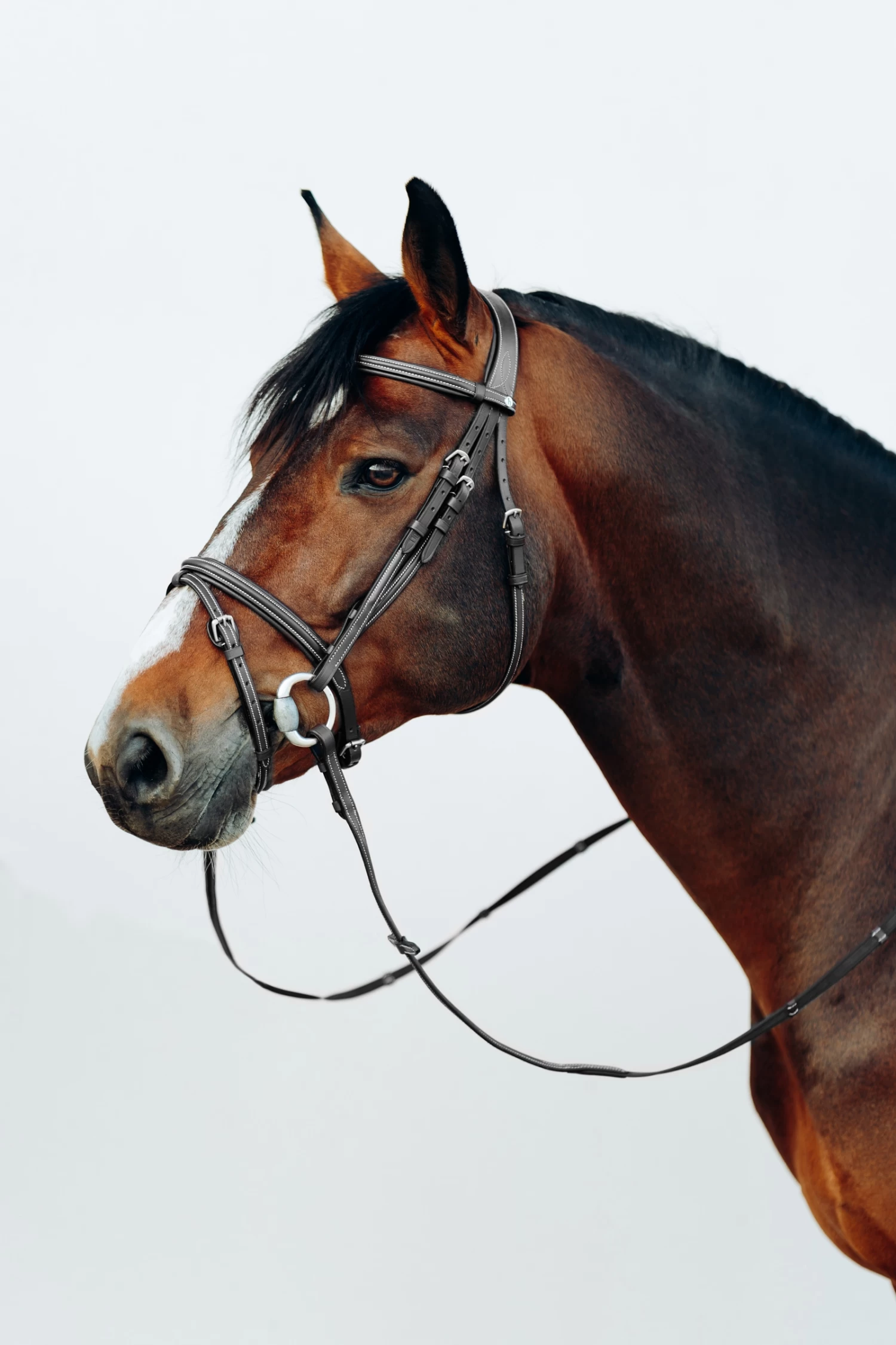 Horze Buxton Anatomische Trense Mit Zügeln – Bild 3