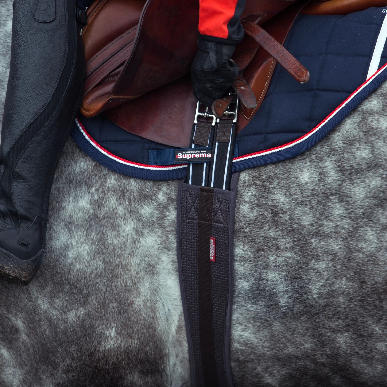 Horze Dallas Langgurt – Bild 4