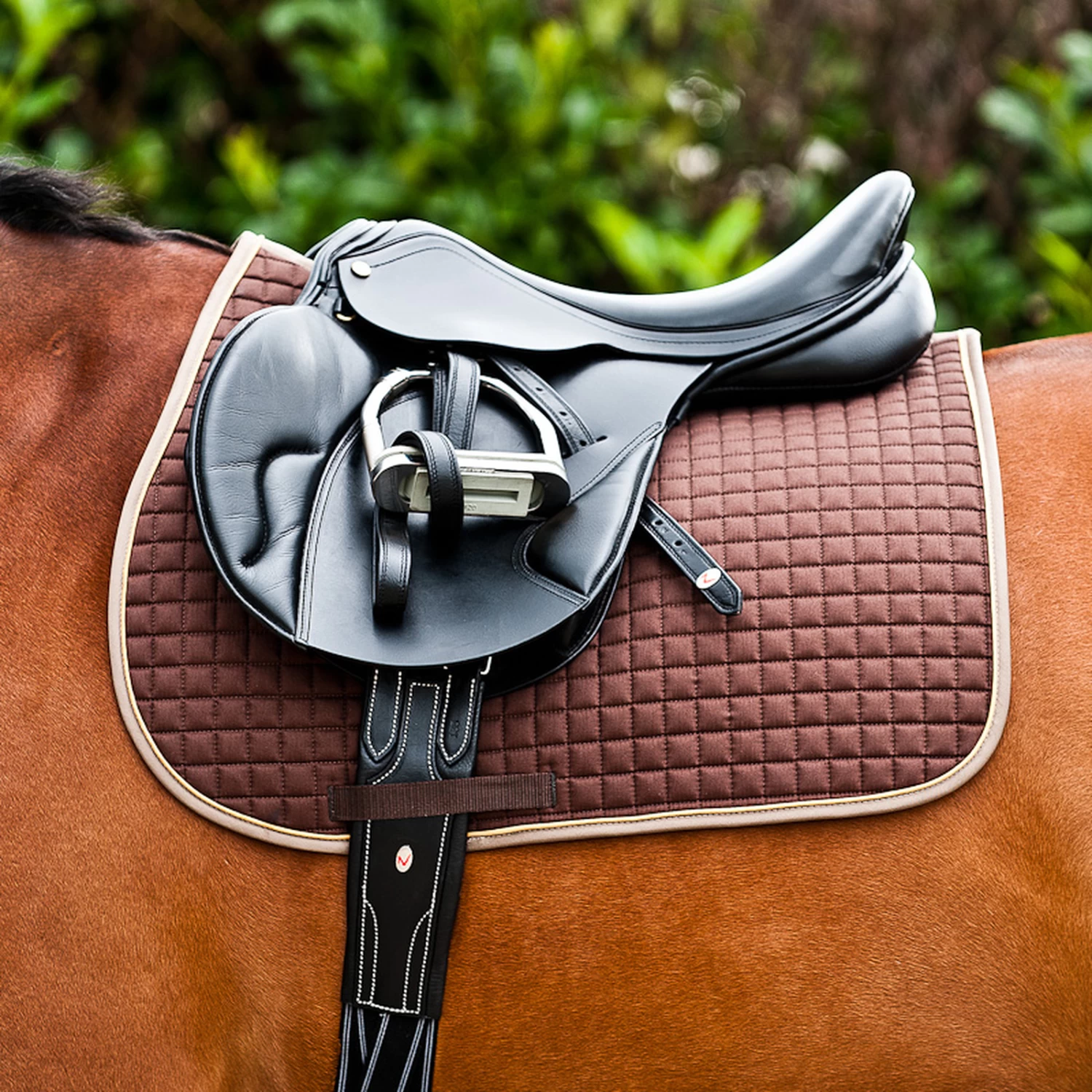 Horze River Vielseitigkeitsschabracke – Bild 13