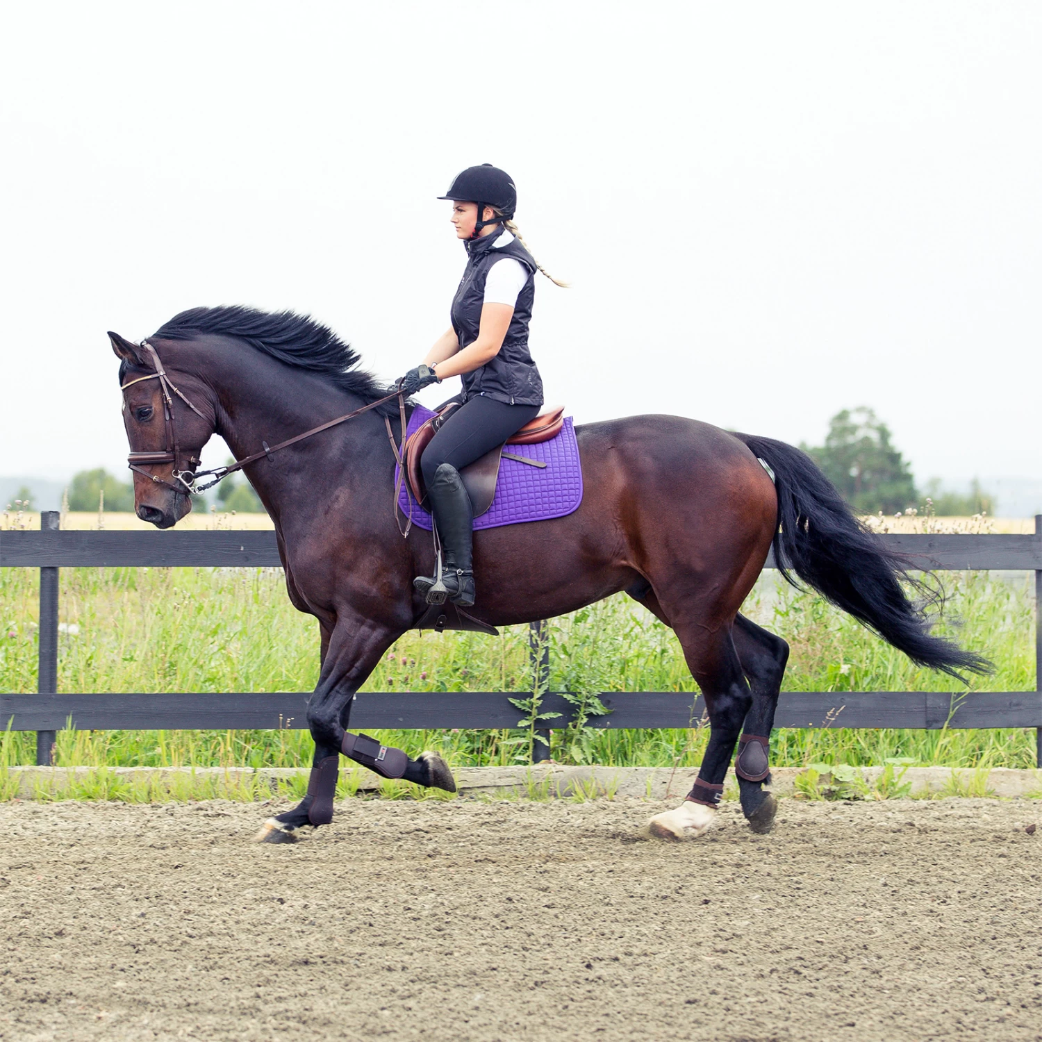 Horze River Vielseitigkeitsschabracke – Bild 7