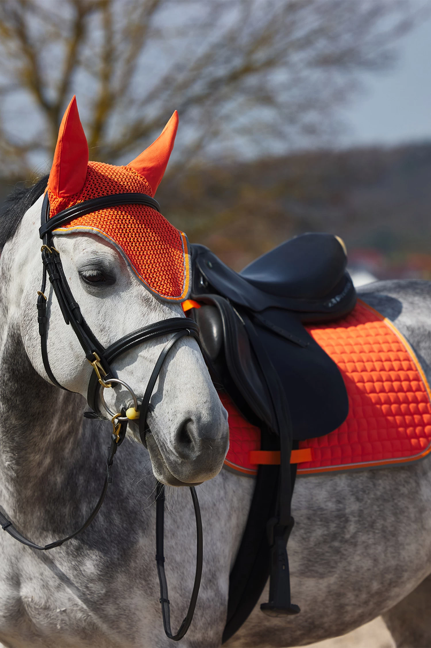 Horze Adepto Vielseitigkeitsschabracke – Bild 4