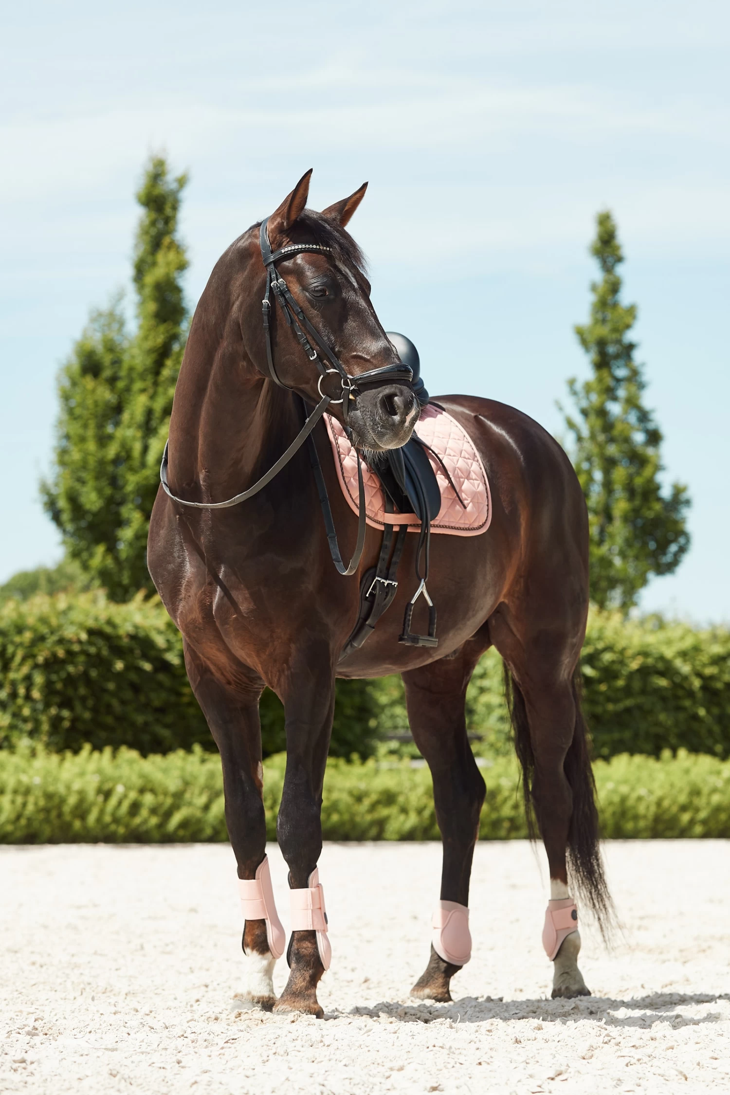 Horze Coventry Dressurschabracke – Bild 8