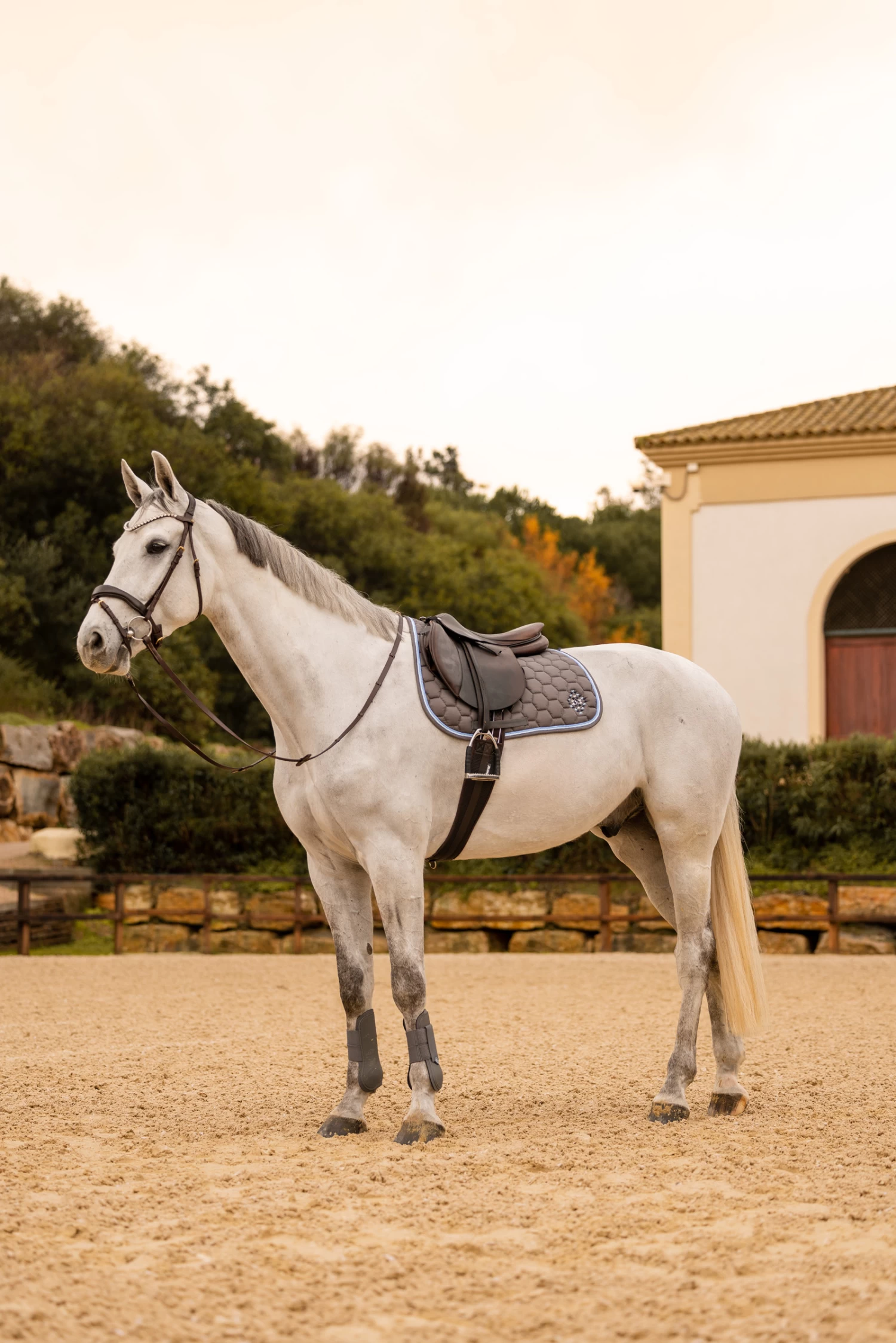 Horze Navajo Vielseitigkeitsschabracke – Bild 11