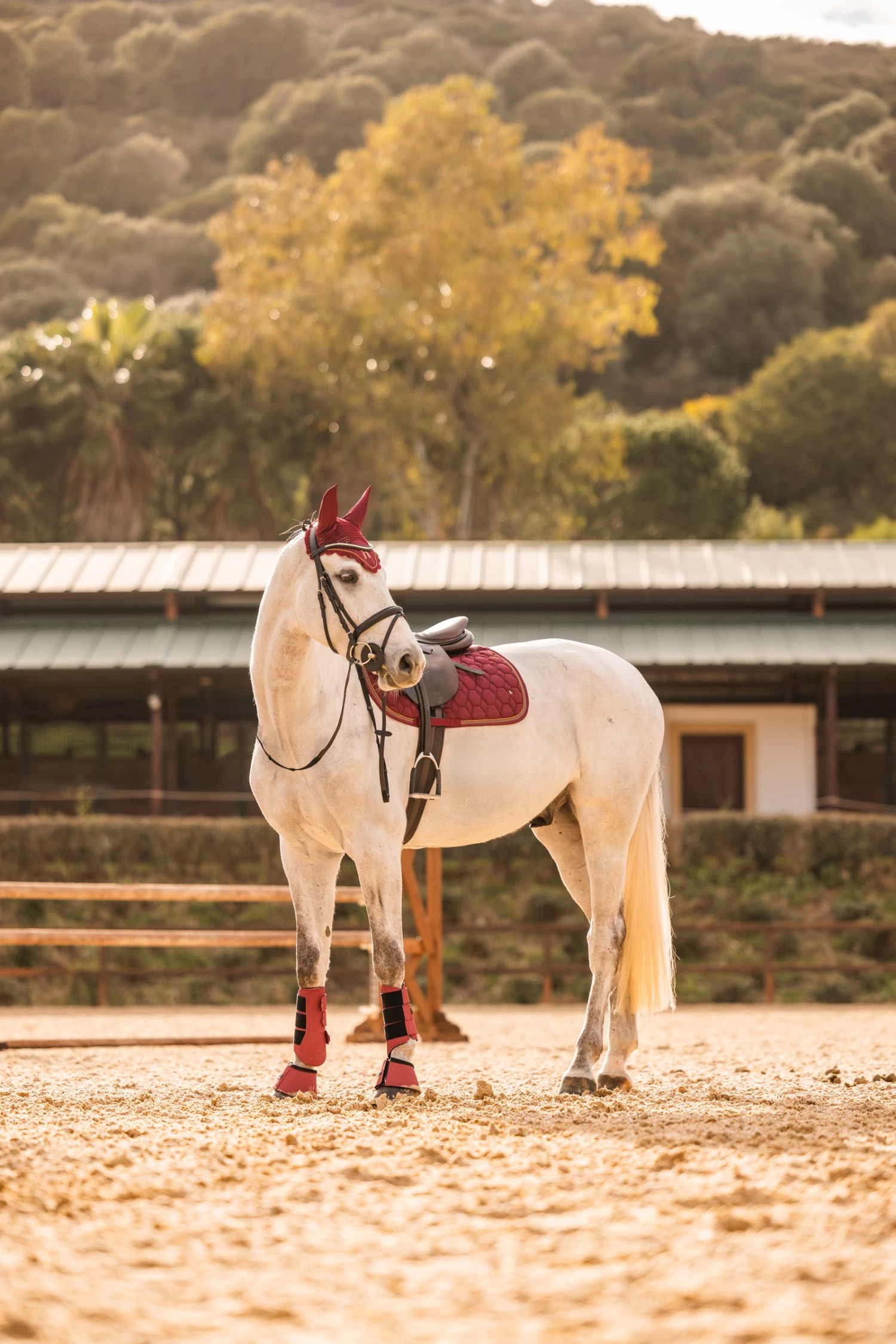 Horze Kenya Vielseitigkeitsschabracke – Bild 6