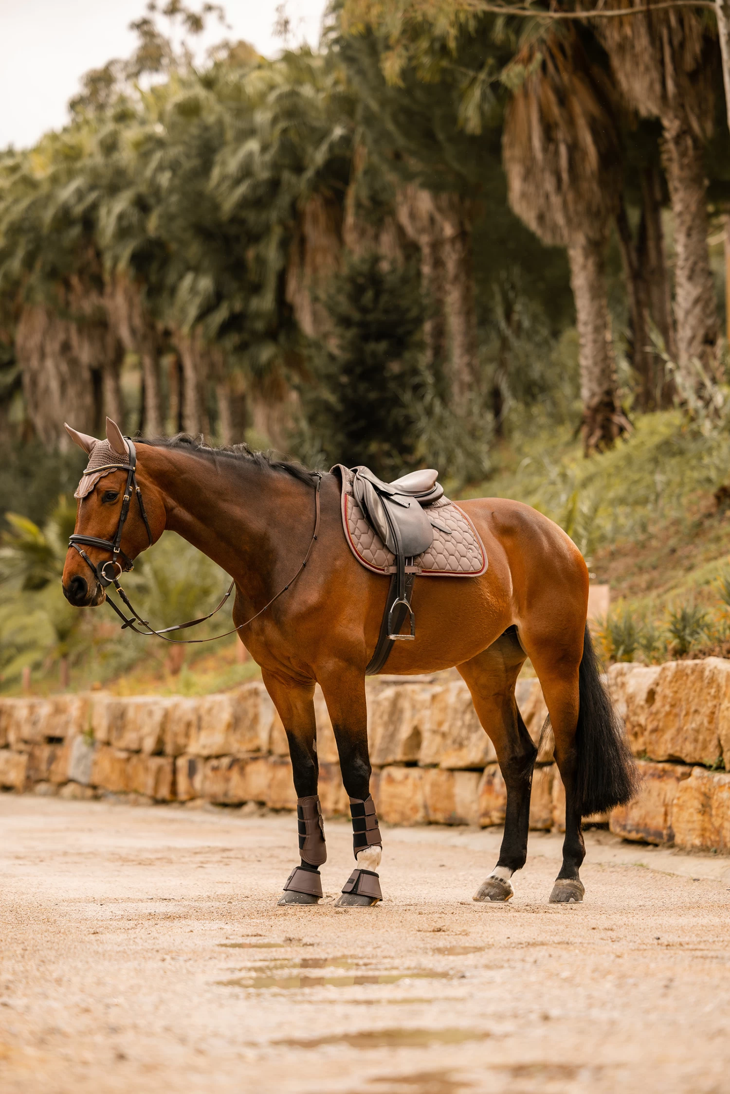 Horze Kenya Vielseitigkeitsschabracke – Bild 14