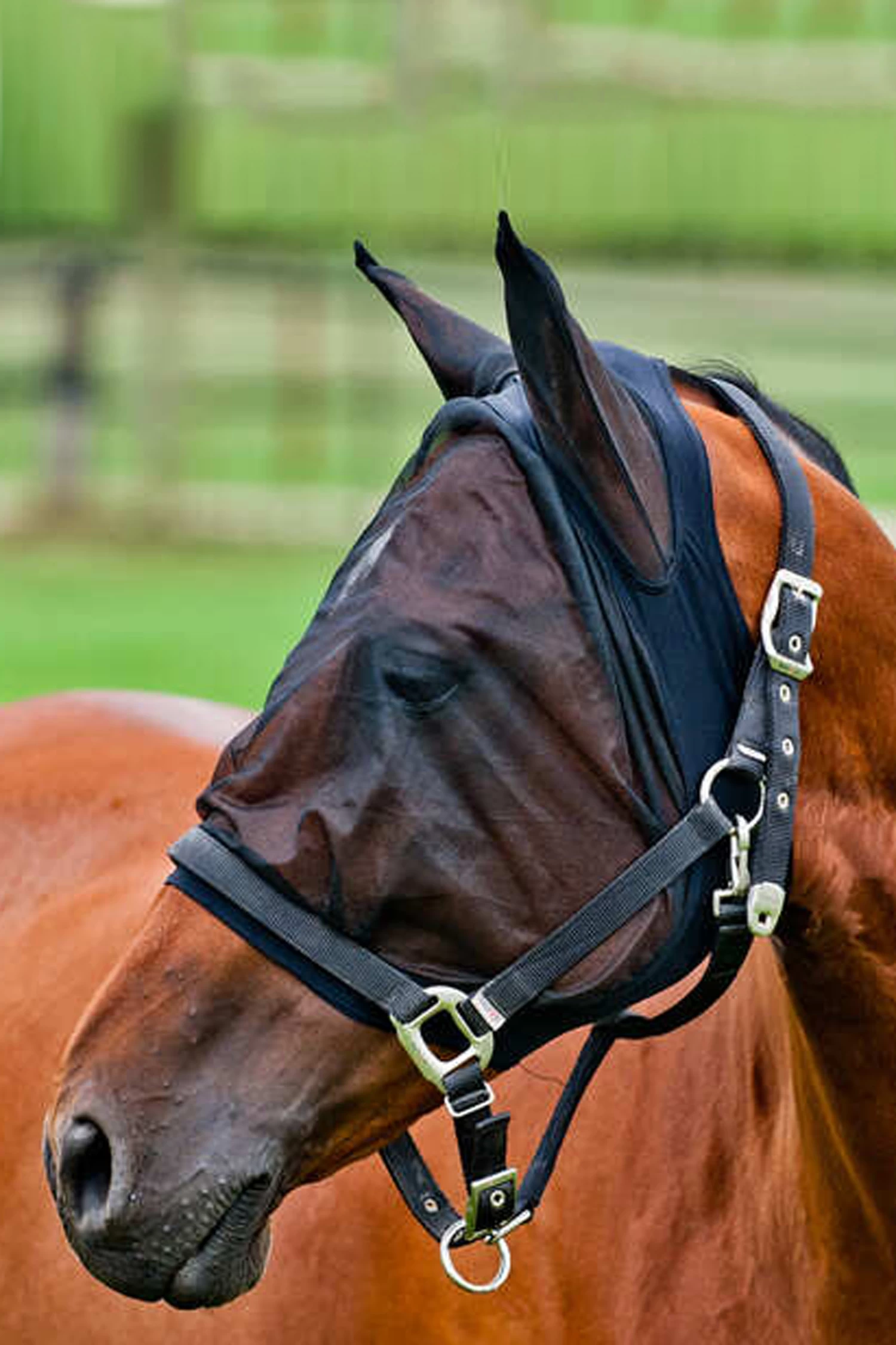 Horze Mesh Fliegenmaske – Bild 2