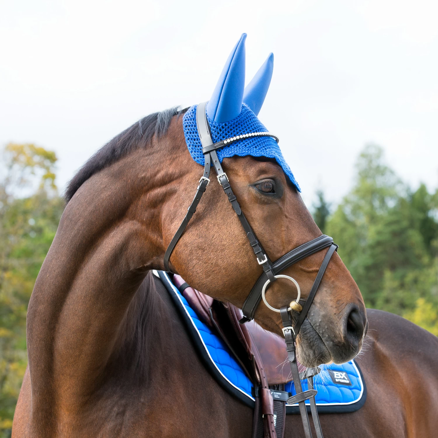 B Vertigo Raxus Fliegenhaube – Bild 10