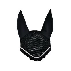 Eskadron Fliegenhaube, Silber