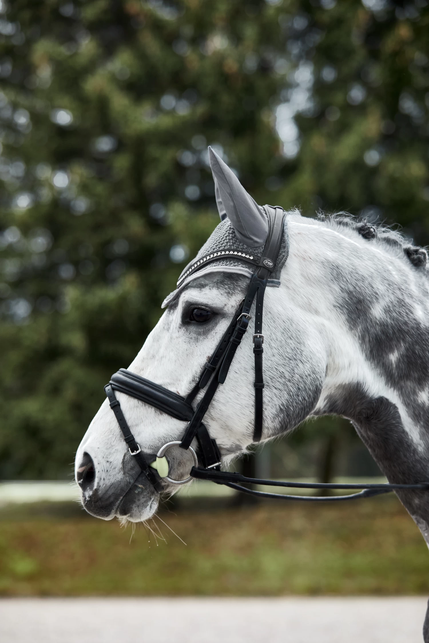 Horze Adepto Fliegenhaube – Bild 12