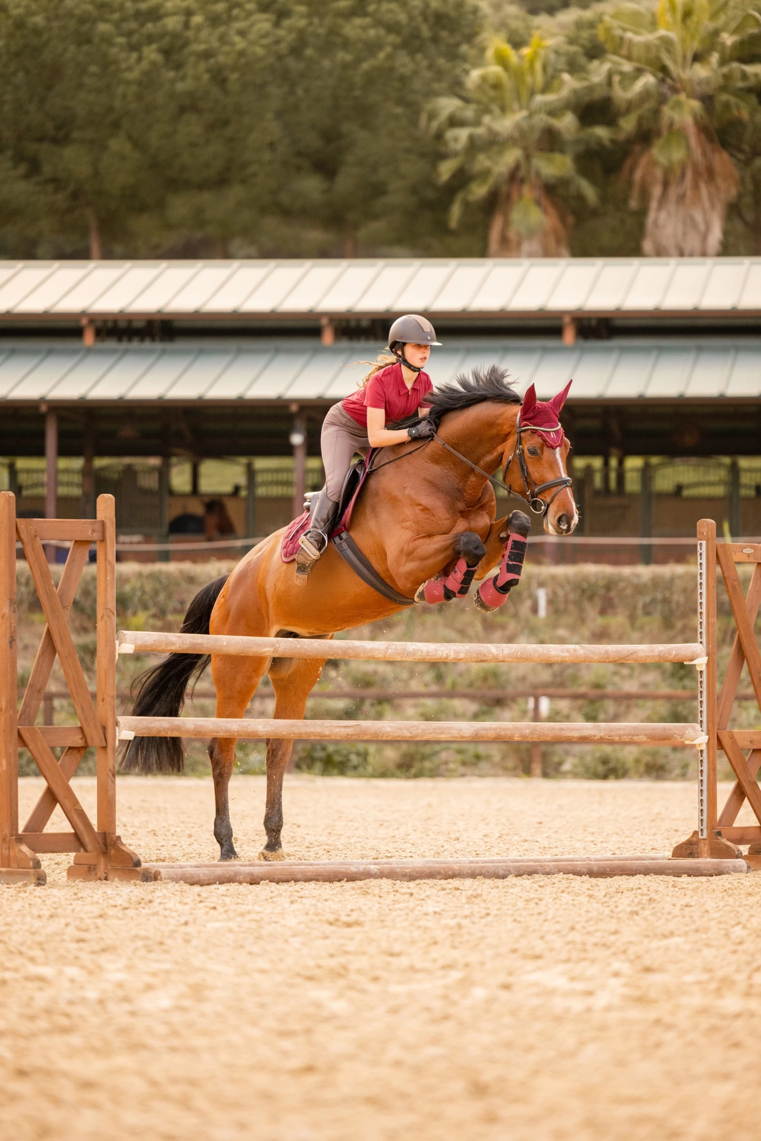 Horze Kenya Fliegenhaube – Bild 5