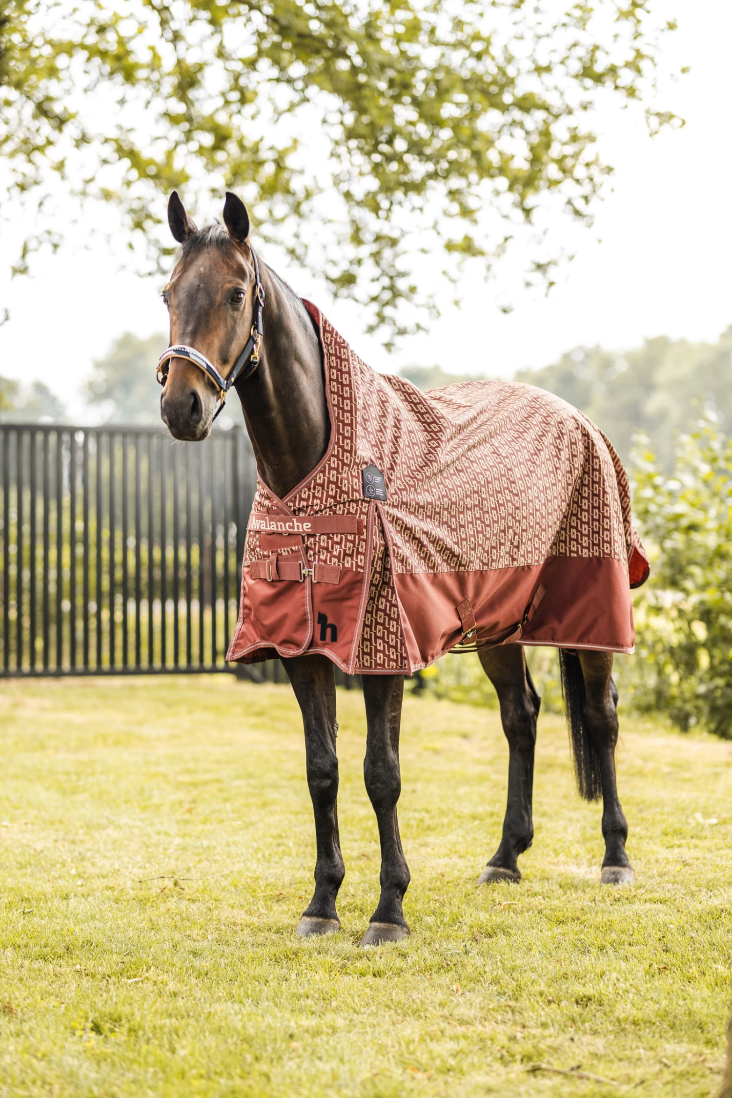 Horze Avalanche Regendecke, 0g – Bild 7