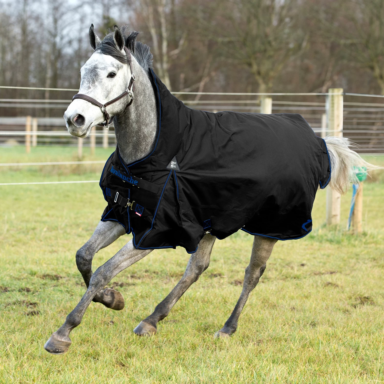 Horze Avalanche Regendecke, 0g – Bild 10