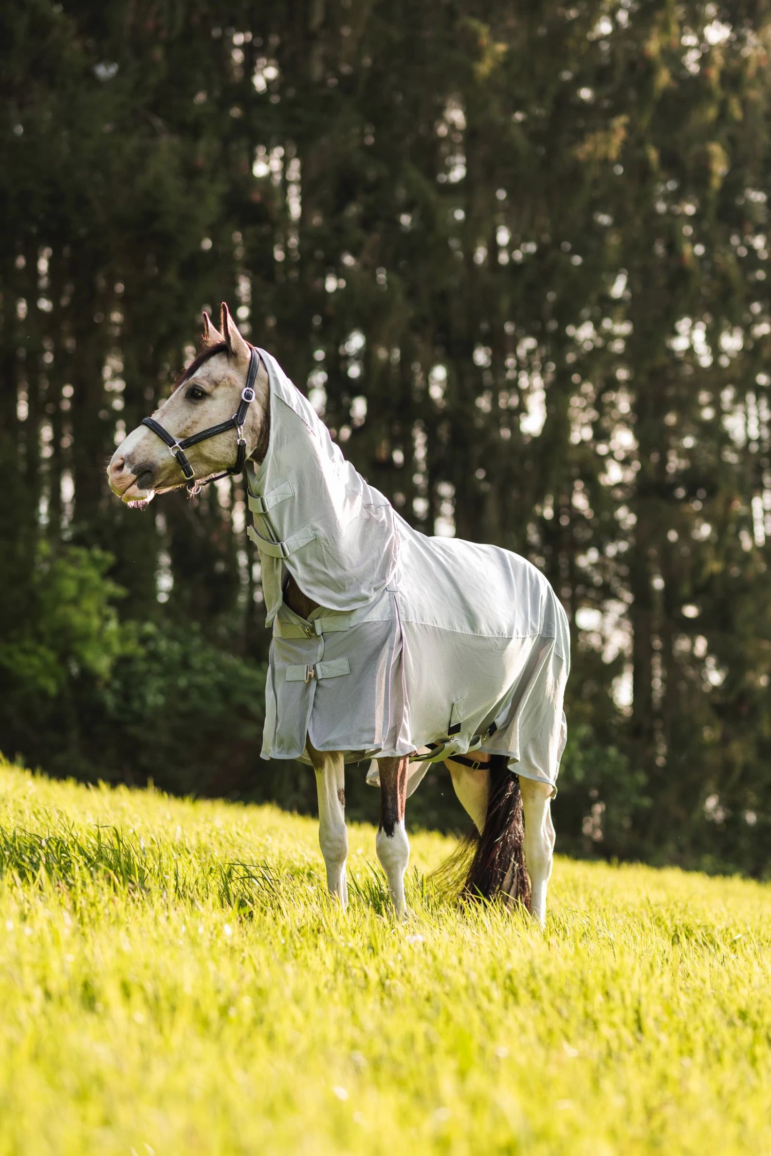 Horze Nevada Combo Regen-/Fliegendecke Mit Abnehmbarem Halsteil – Bild 5
