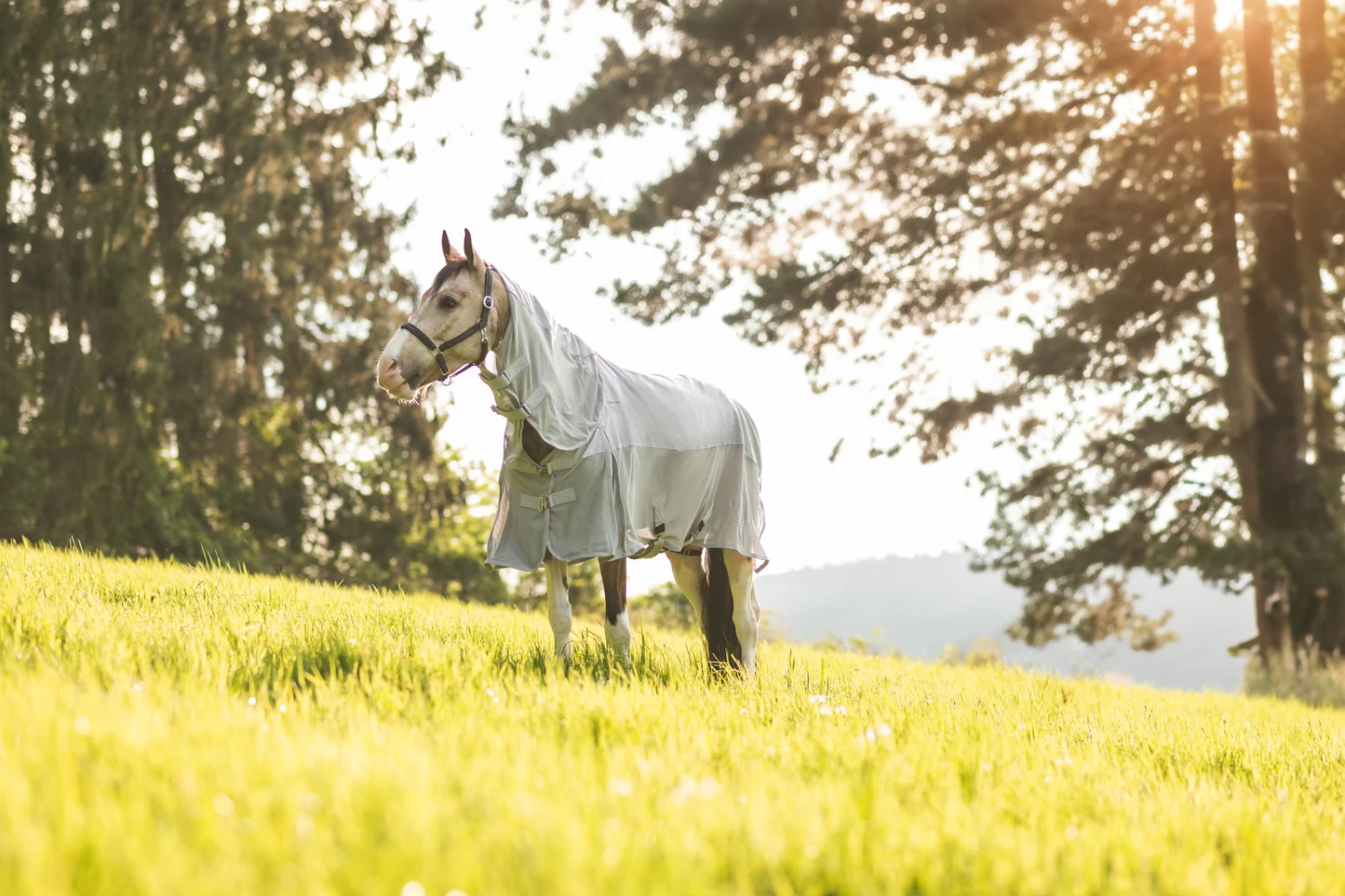 Horze Nevada Combo Regen-/Fliegendecke Mit Abnehmbarem Halsteil – Bild 8