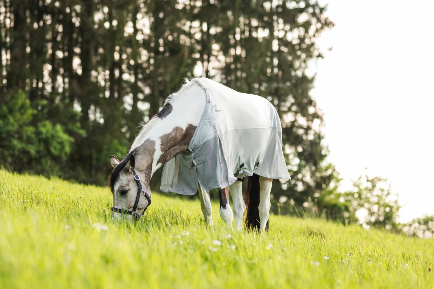 Horze Nevada Combo Regen-/Fliegendecke Mit Abnehmbarem Halsteil – Bild 9