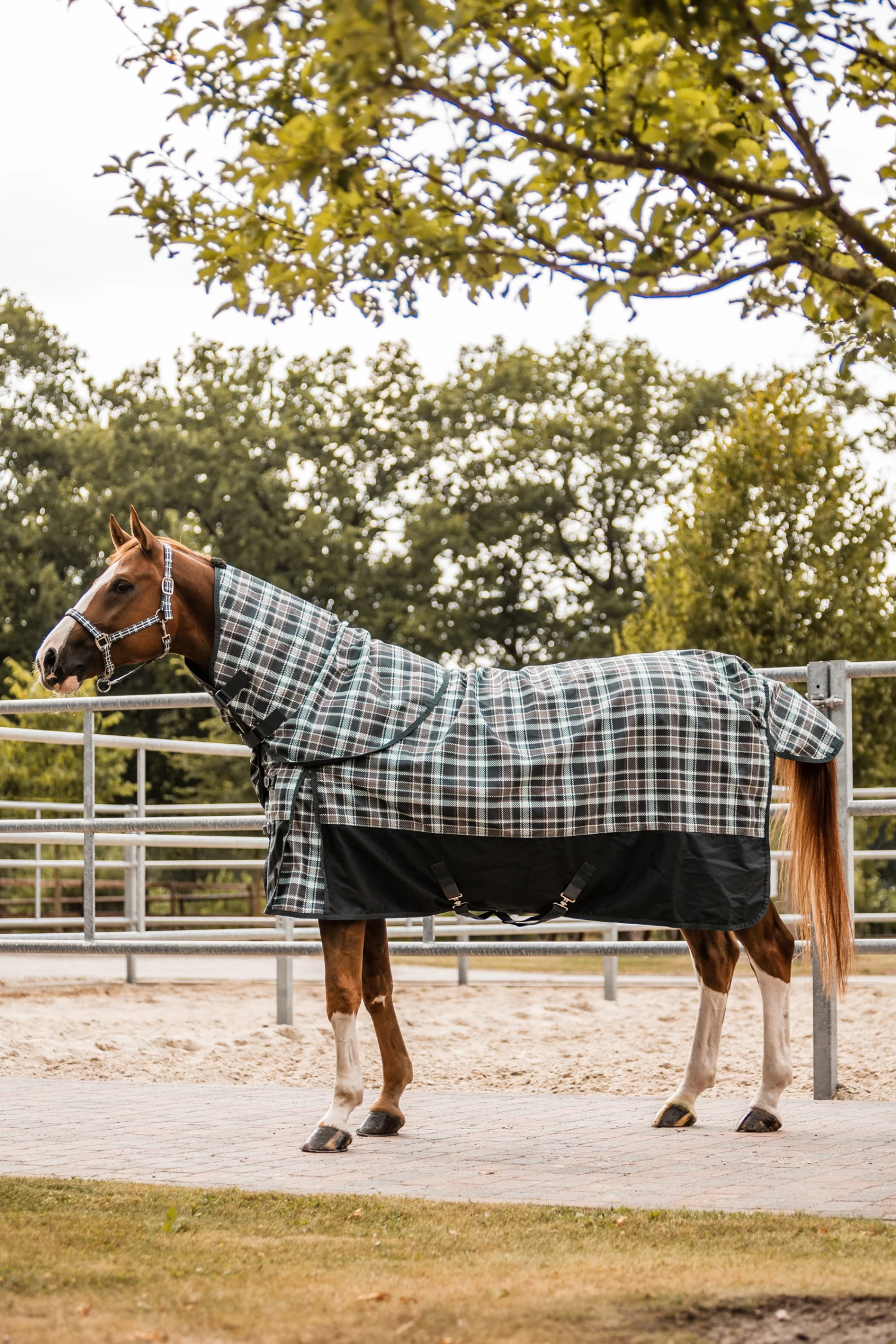 Horze Nevada Halsteil Für Regendecke, 200g – Bild 9