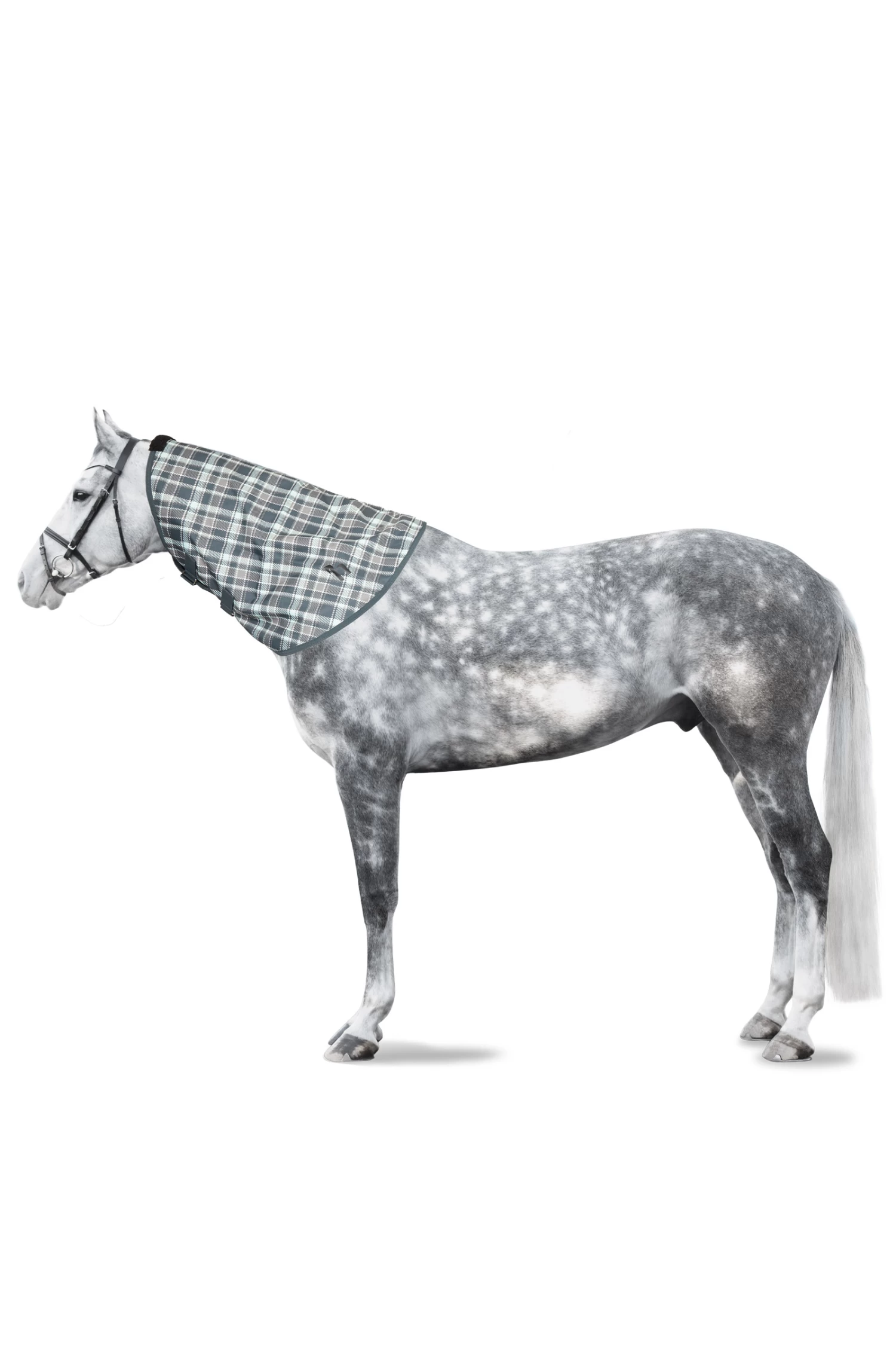 Horze Nevada Halsteil – Bild 8