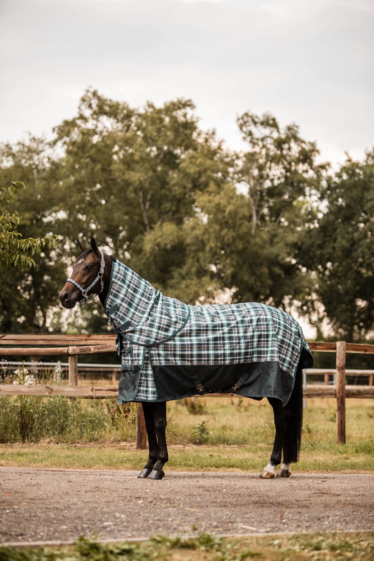 Horze Nevada Halsteil – Bild 11