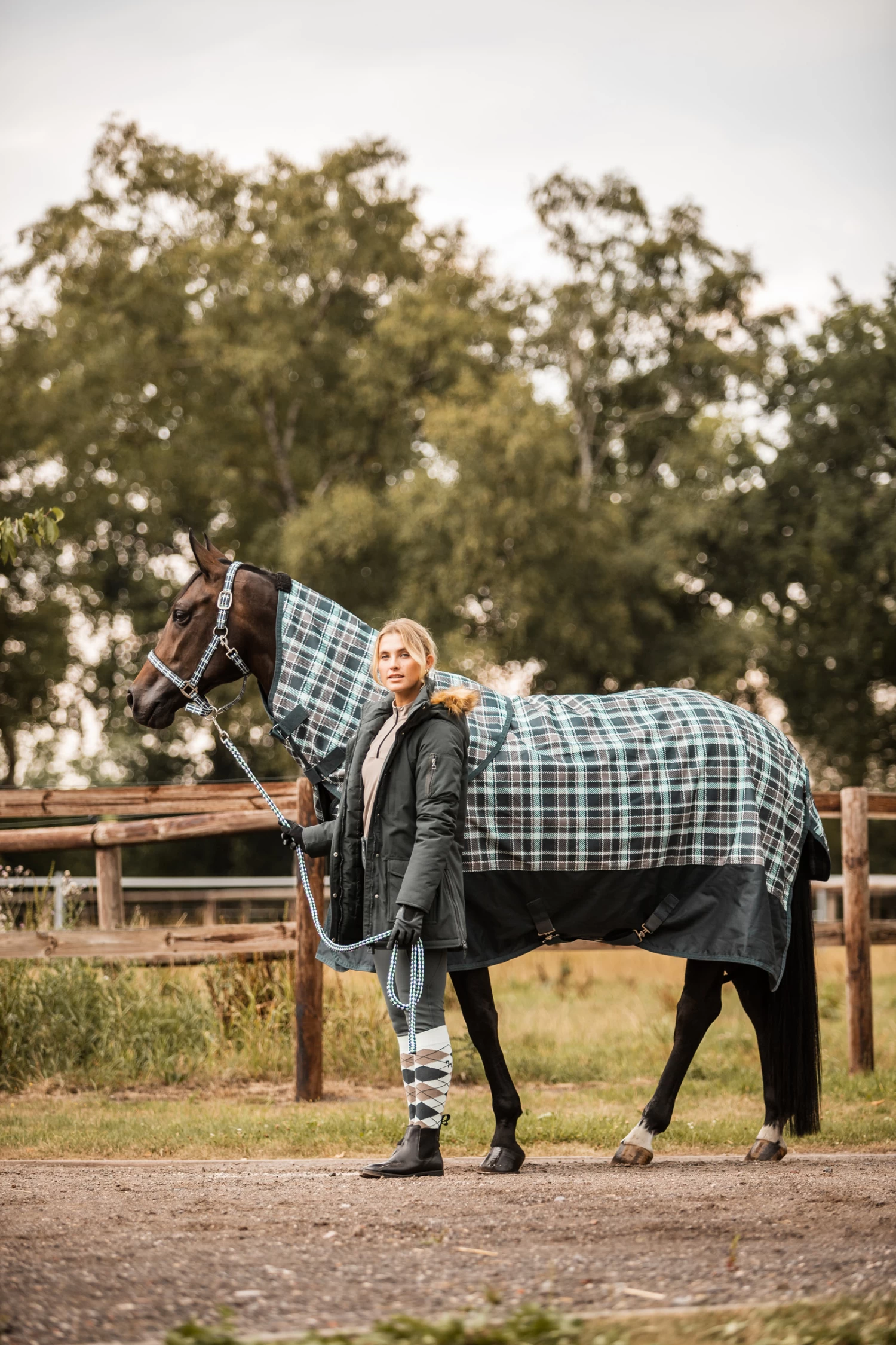 Horze Nevada Halsteil – Bild 12