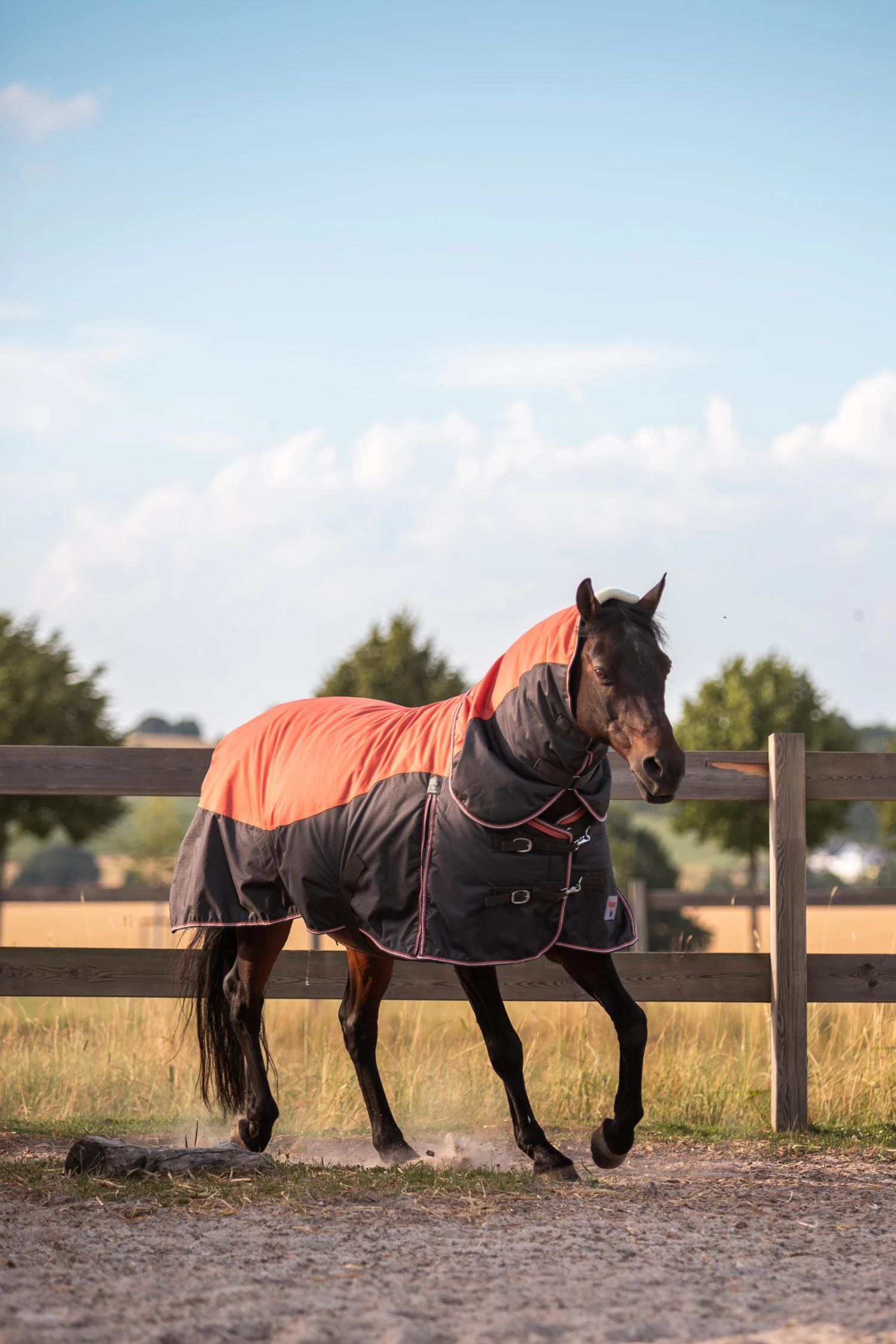 Horze Lucerne Halsteil, 250g – Bild 4