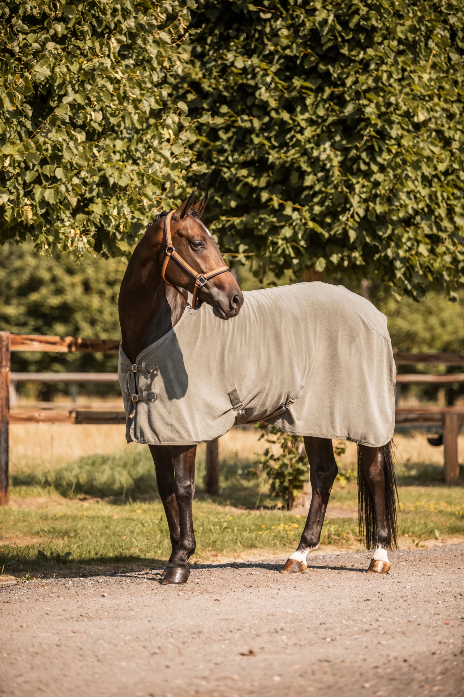 Horze Sandnes Fleece Abschwitzdecke – Bild 4