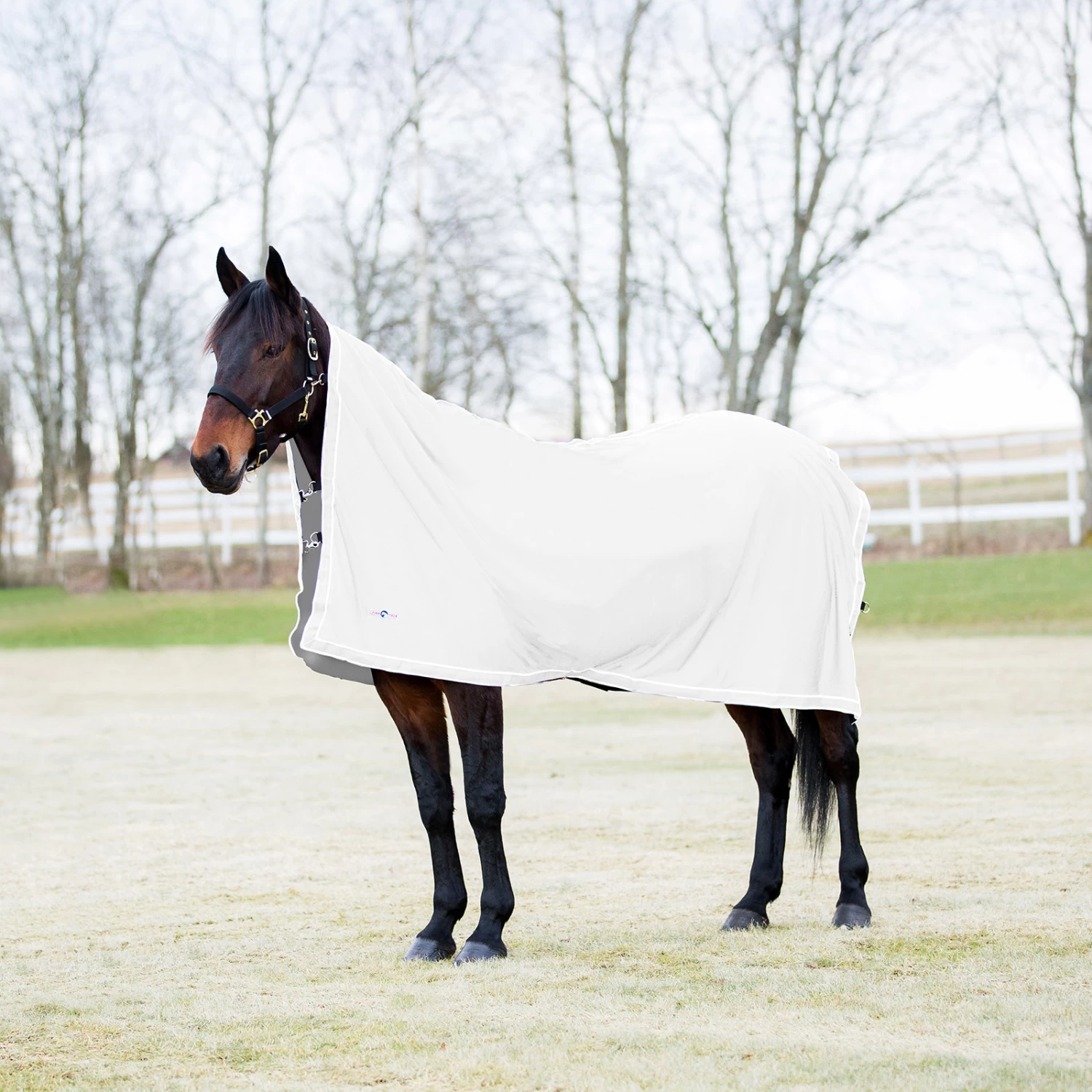 Finntack Pro Pritex Abschwitzdecke – Bild 5