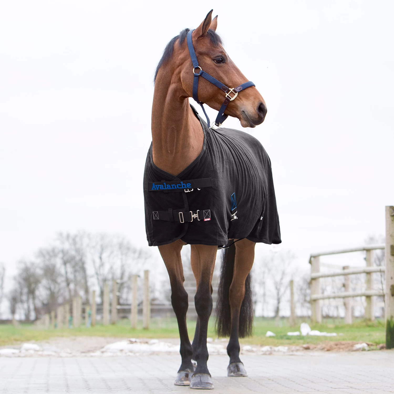 Horze Avalanche Fleece Abschwitzdecke