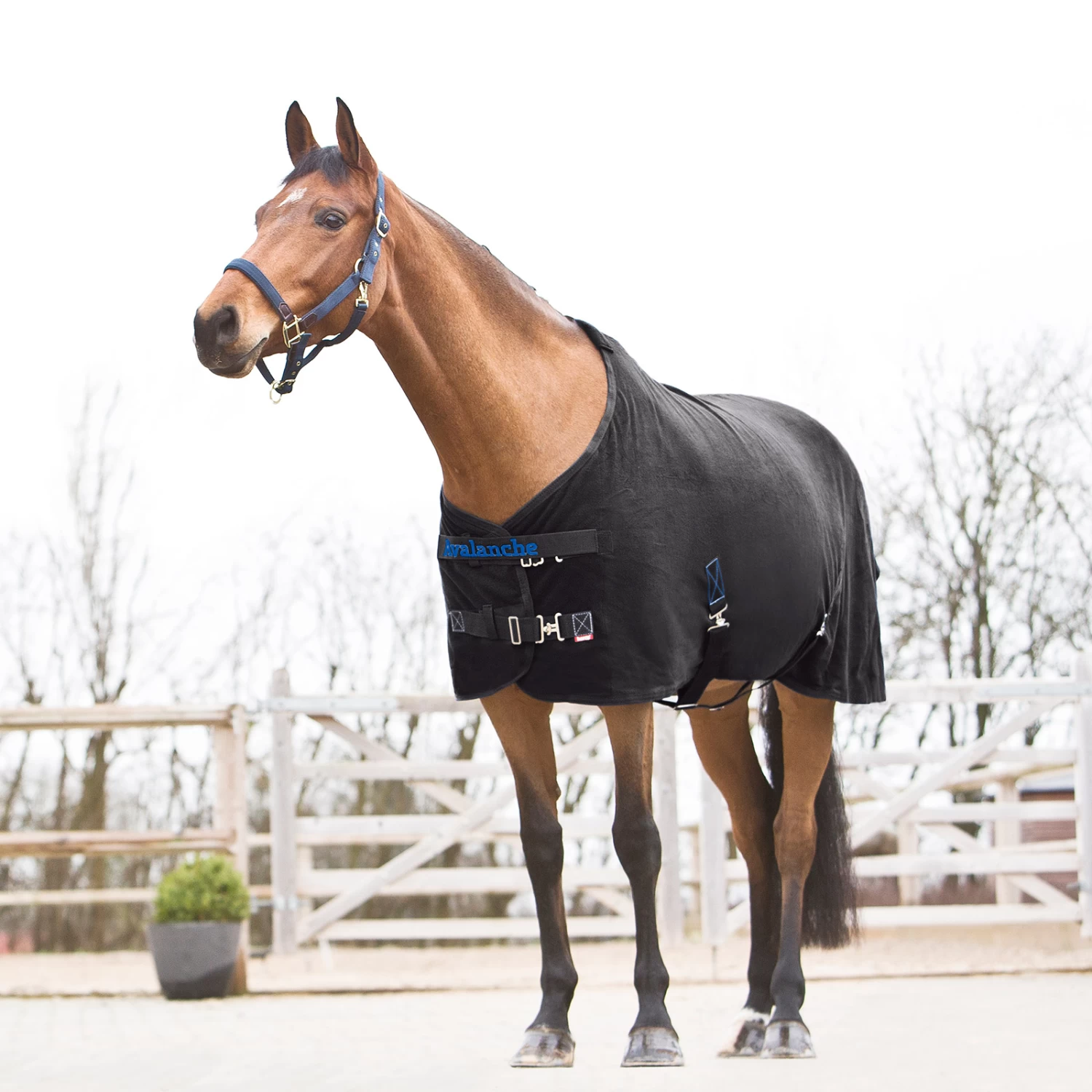 Horze Avalanche Fleece Abschwitzdecke – Bild 2