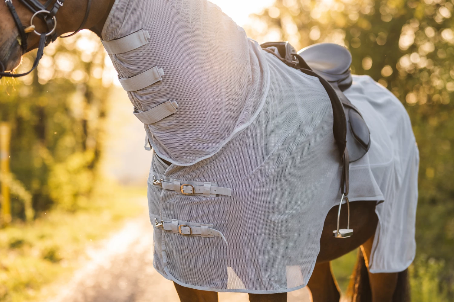 Horze Orleans Fliegen-Ausreitdecke – Bild 10