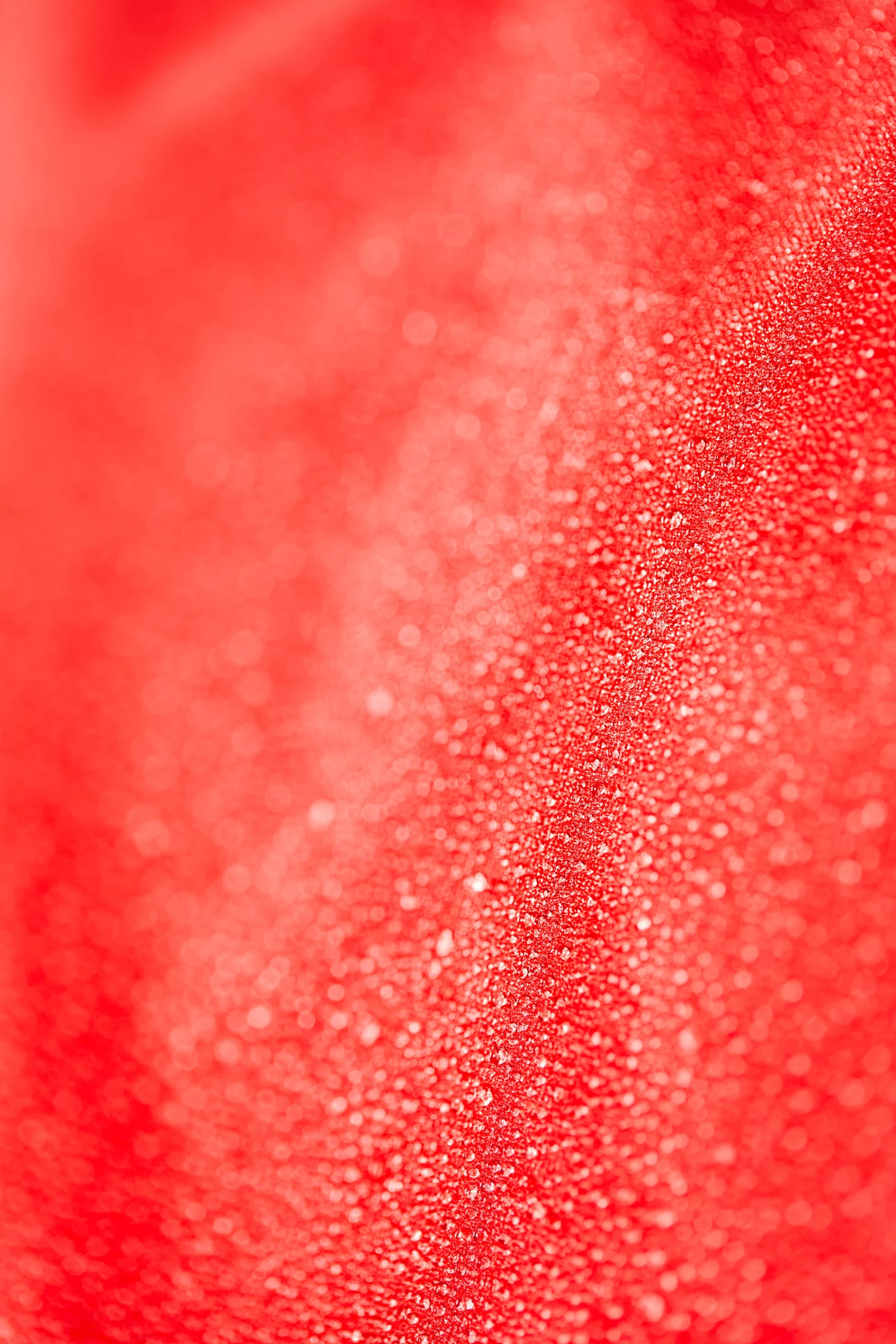 Leichte Weidedecke 600D, 100g – Bild 5