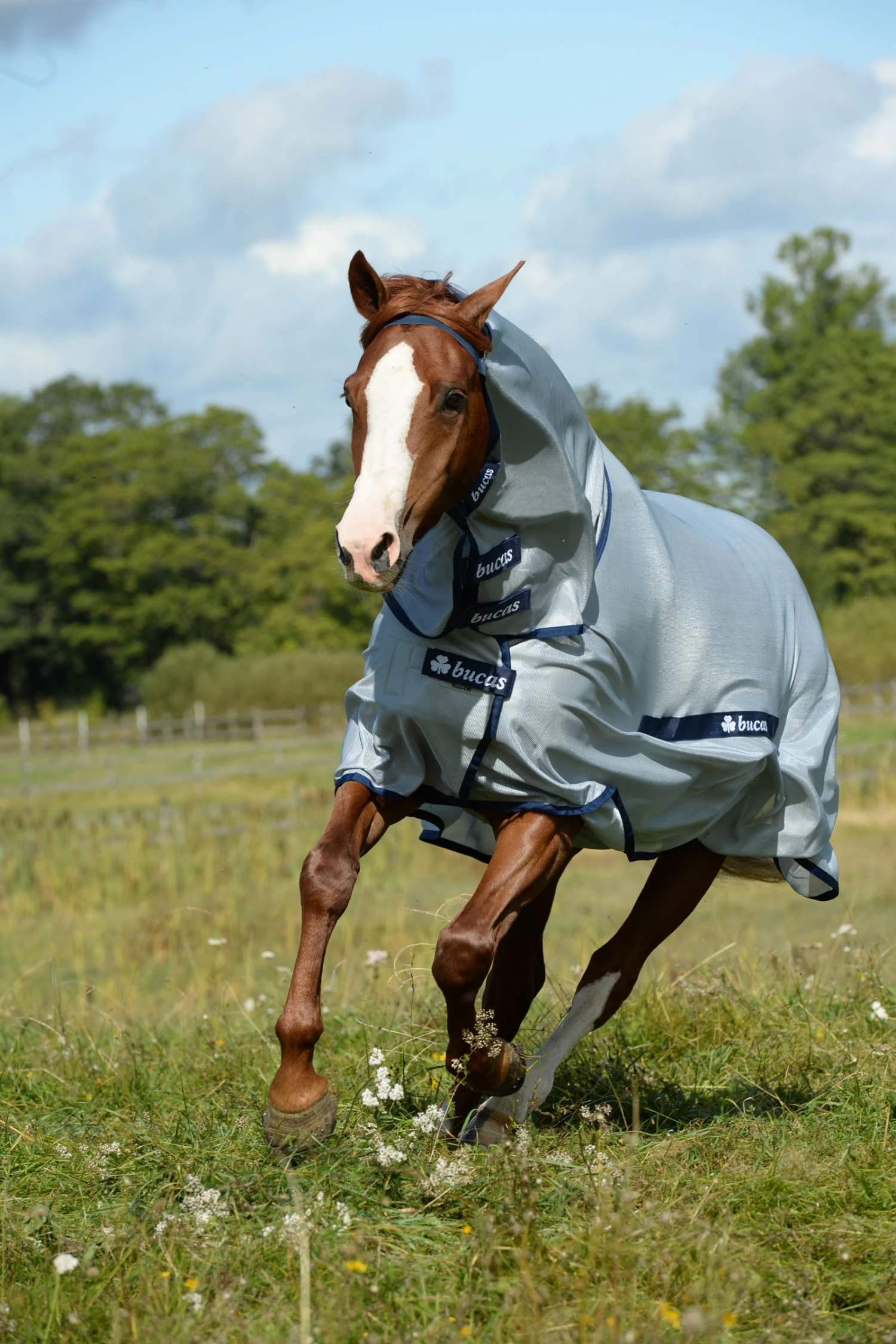 Bucas Buzz-off Full-Neck Fliegendecke Mit Festem Halsteil – Bild 2