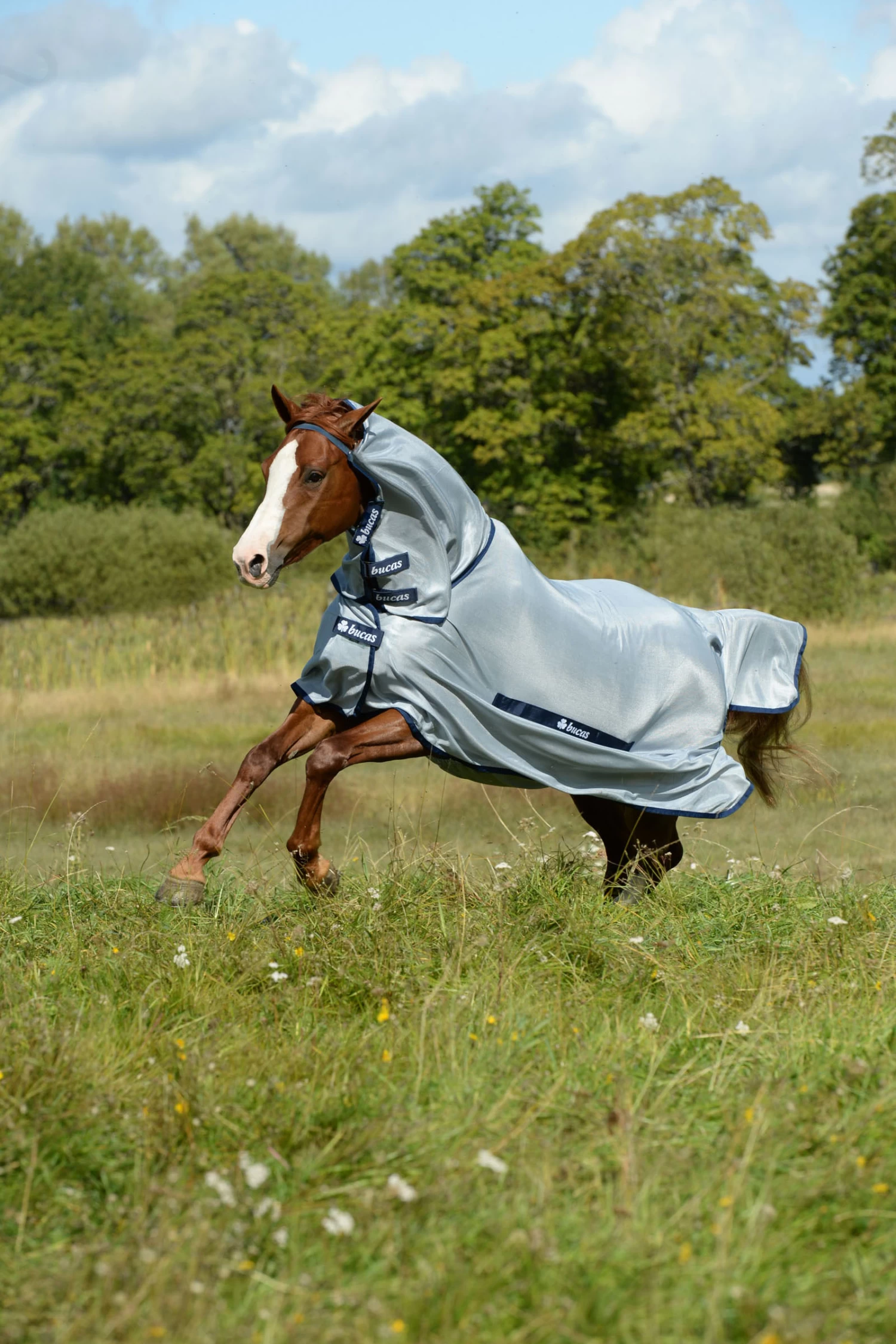 Bucas Buzz-off Full-Neck Fliegendecke Mit Festem Halsteil – Bild 3