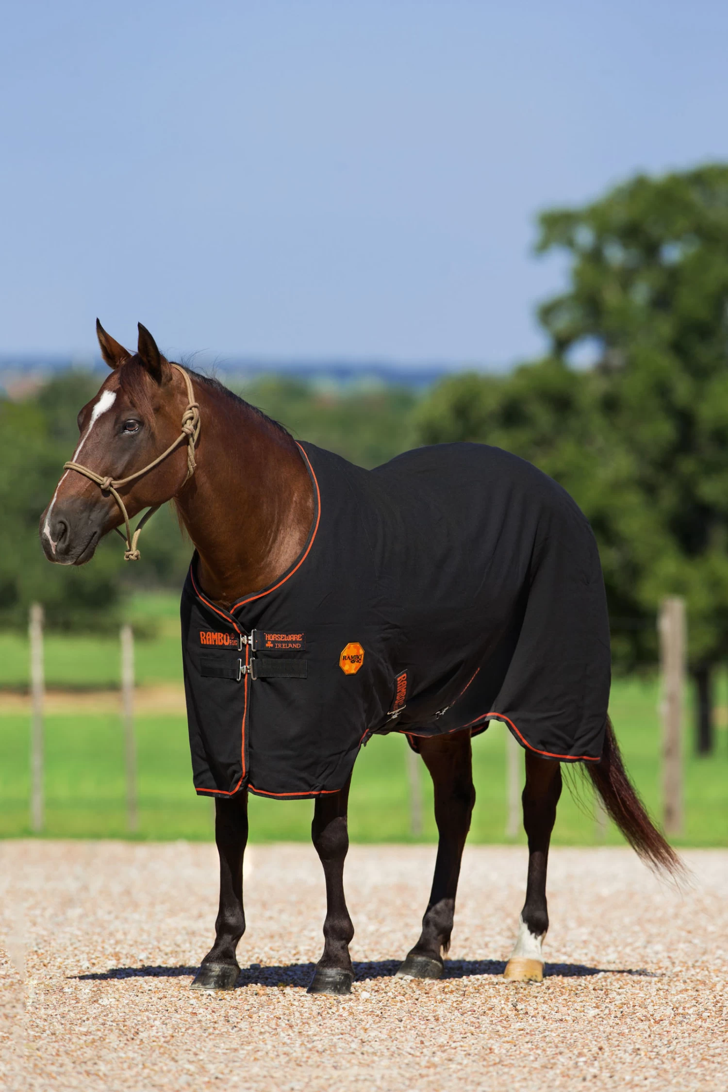 Horseware Rambo Ionic Stalldecke, 0g