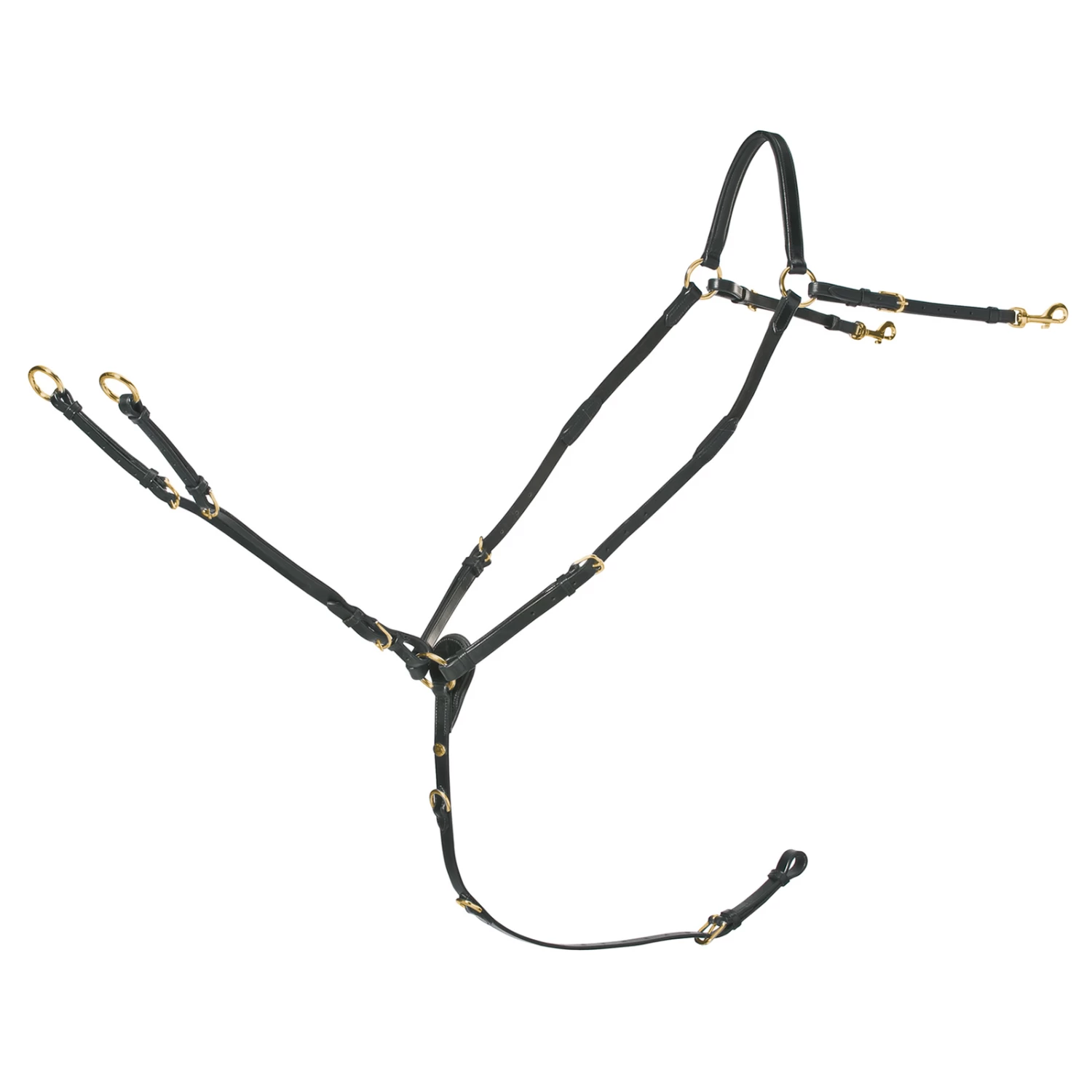 Schockemöhle Schmal Geschnittenes Vorderzeug: RACE II – Bild 5