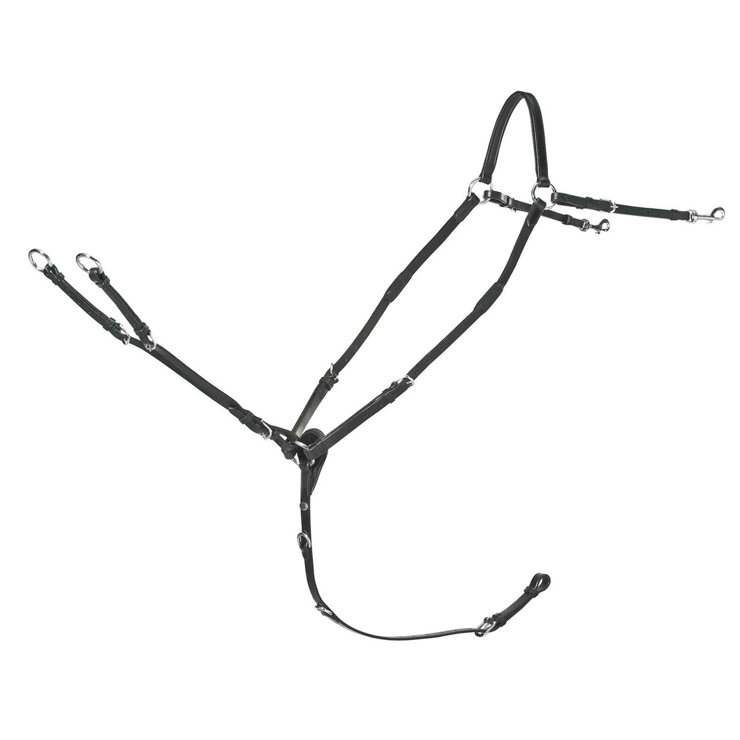 Schockemöhle Schmal Geschnittenes Vorderzeug: RACE II – Bild 4