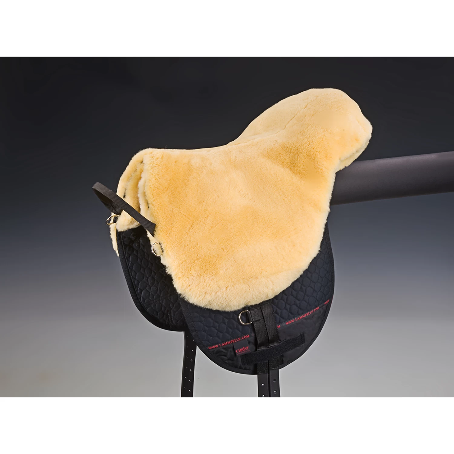 Christ Bareback Riding Basic Plus, SH – Bild 3