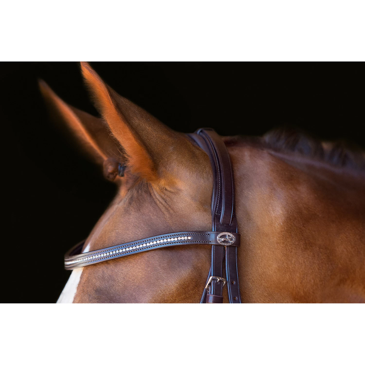 Schockemöhle Copenhagen Trense – Bild 3