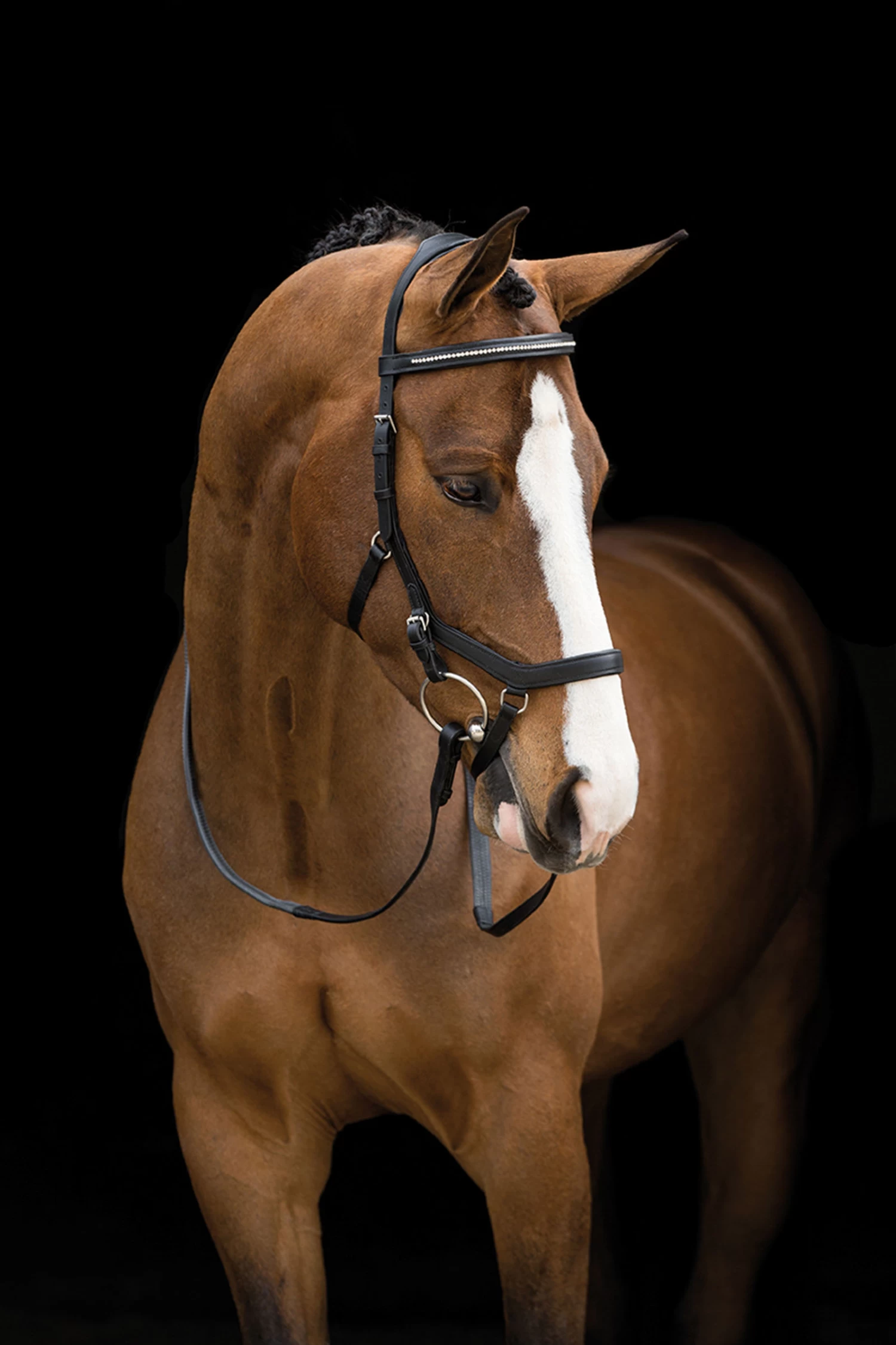 Horseware Rambo Micklem Diamante Competition Trensenzaum – Bild 2