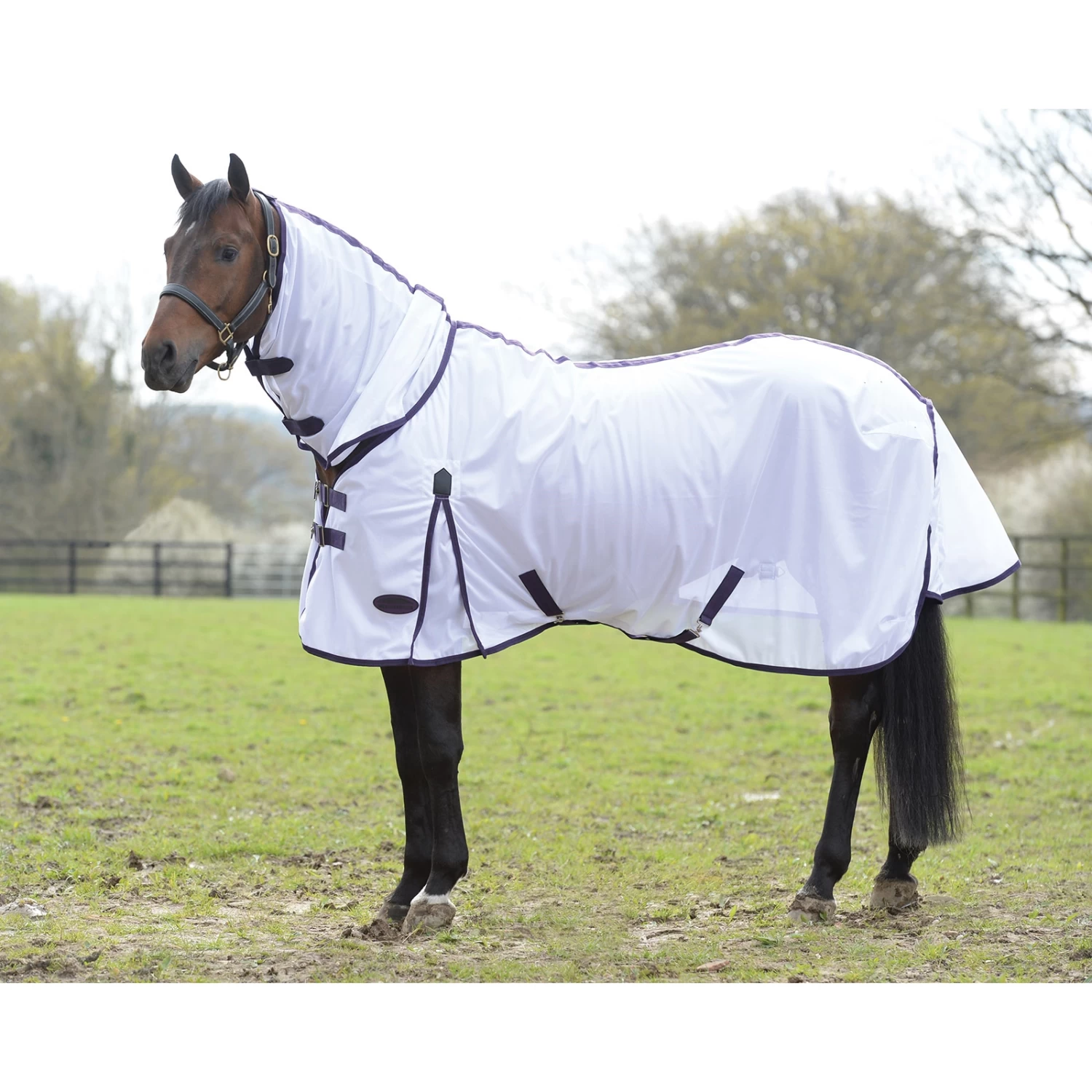 Weatherbeeta Comfitec Essential Mesh II Combo Fliegendecke Mit Festem Halsteil – Bild 3