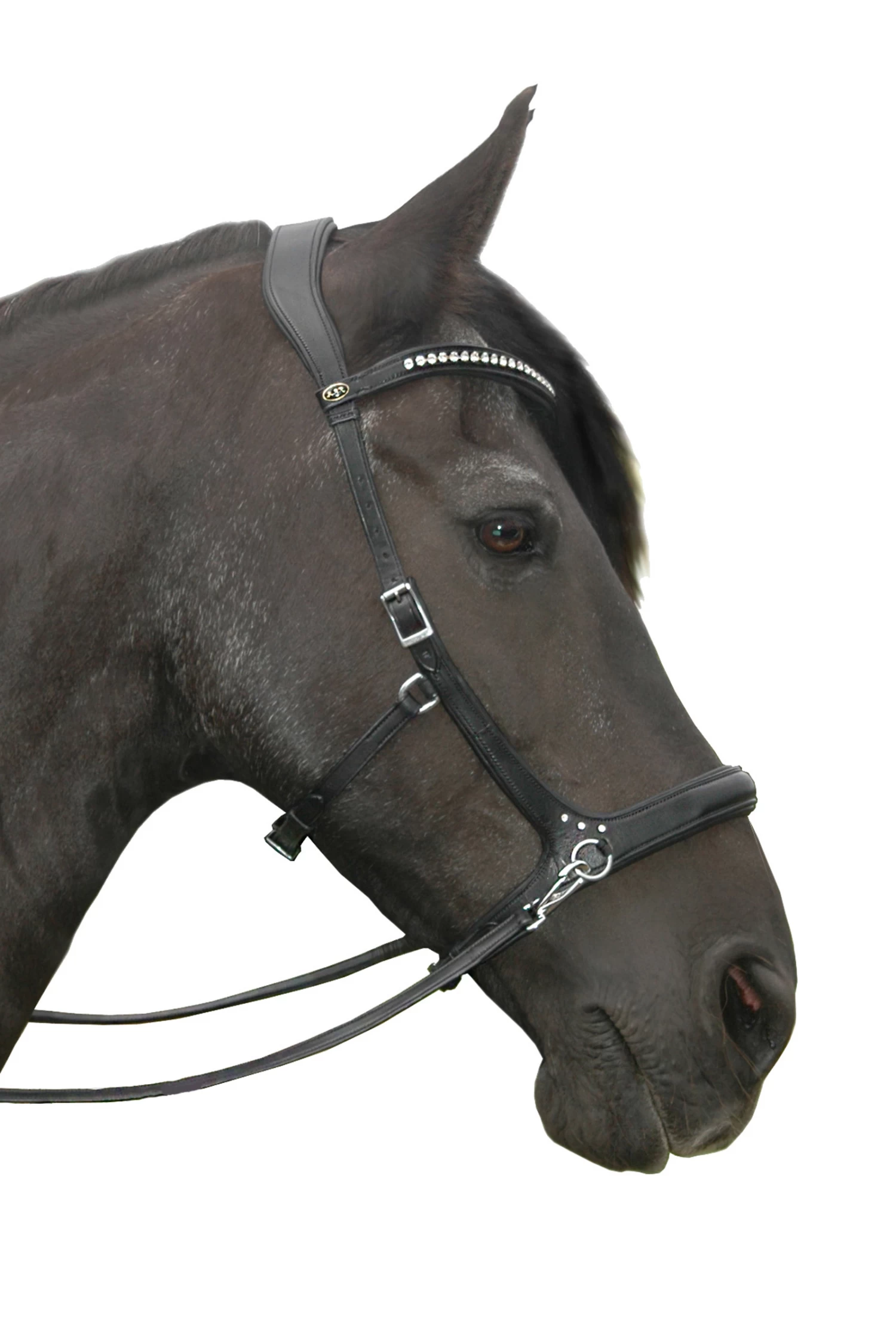 FRA Rebecca Sidepull (System 3) Mit Kristallen – Bild 2