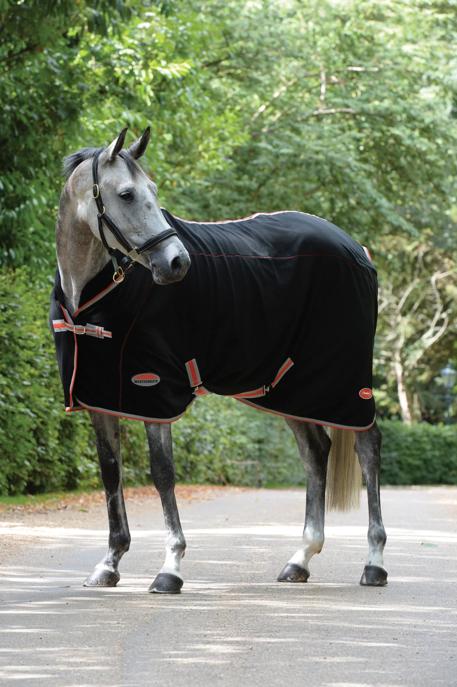 Weatherbeeta Therapy-Tec Decke Standard Neck