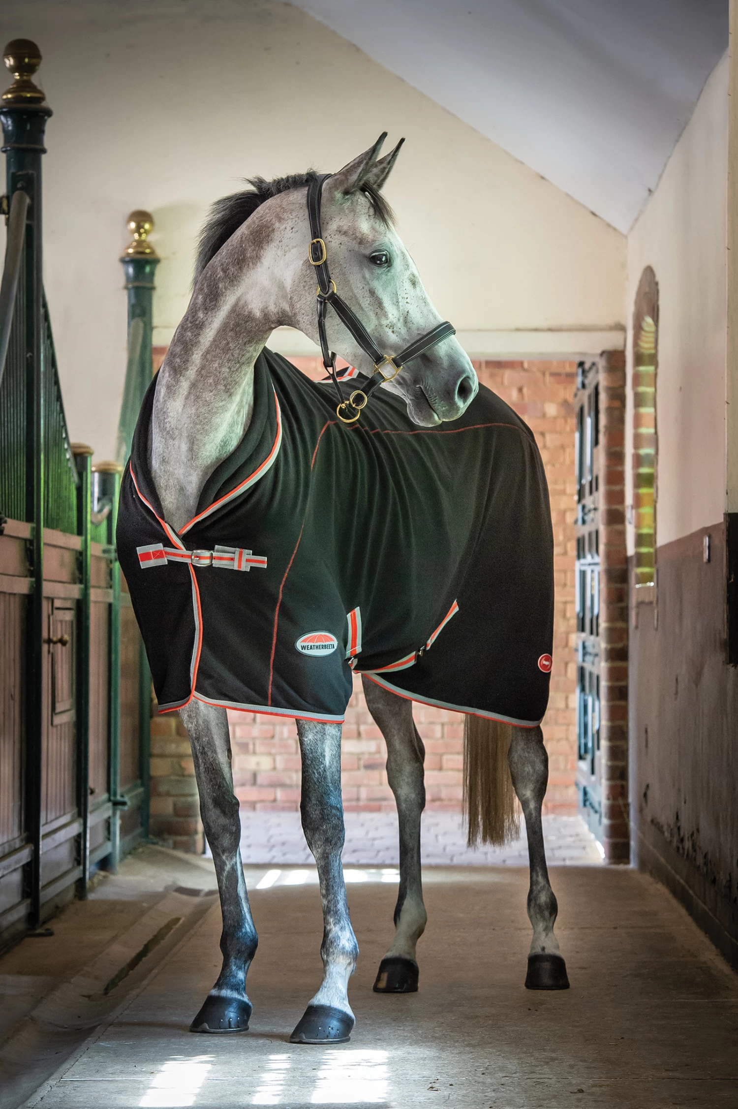 Weatherbeeta Therapy-Tec Decke Standard Neck – Bild 2