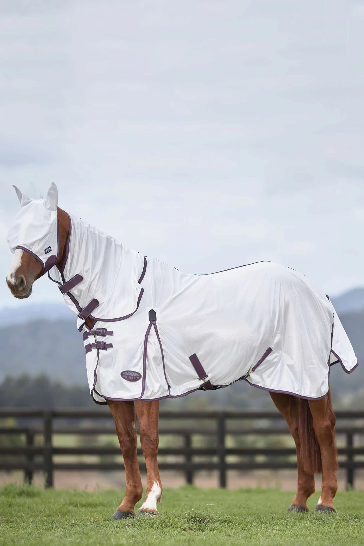 Weatherbeeta Comfitec Essential Mesh II Fliegendecke Mit Festem Halsteil – Bild 9