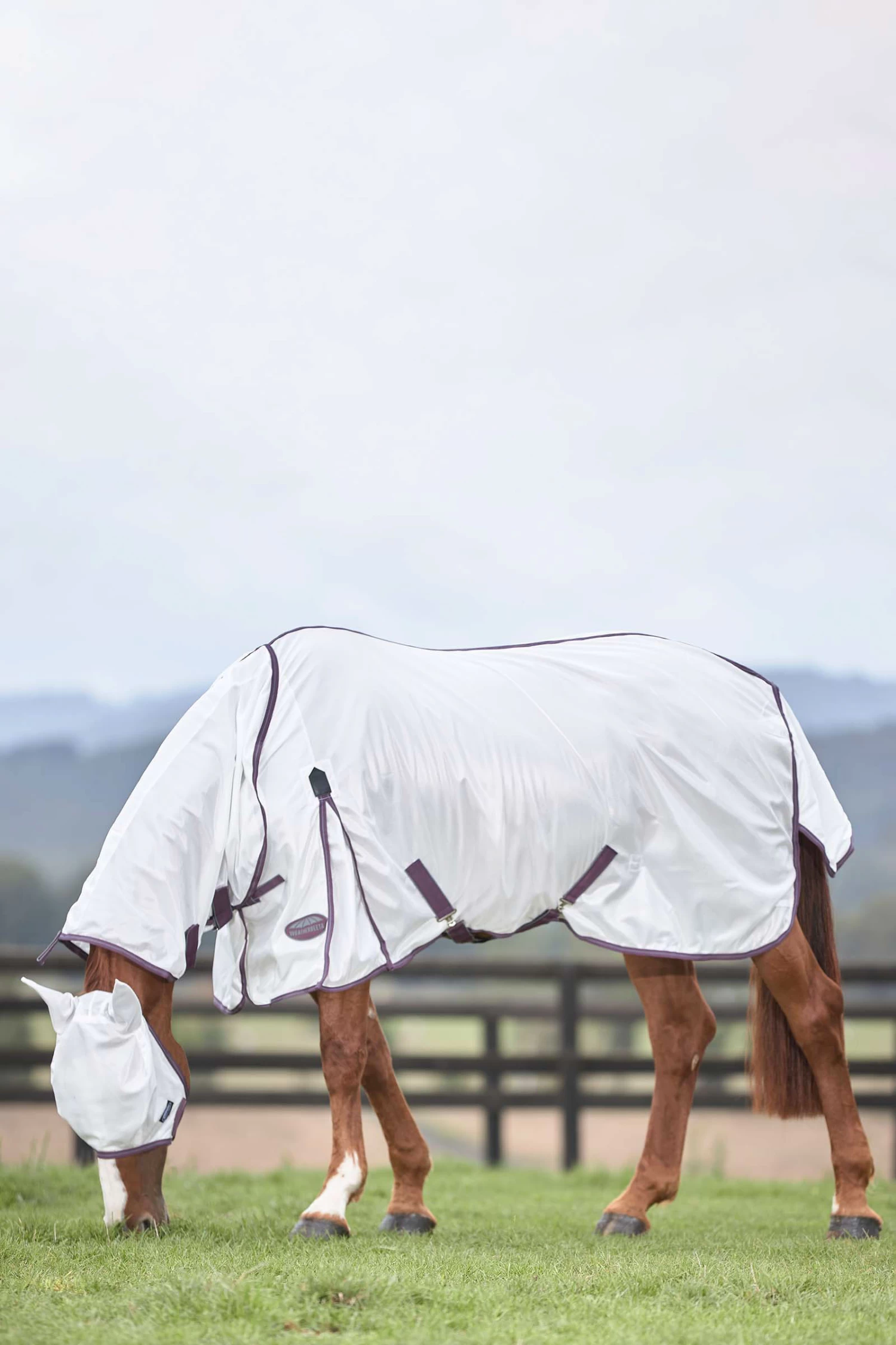 Weatherbeeta Comfitec Essential Mesh II Fliegendecke Mit Festem Halsteil – Bild 10