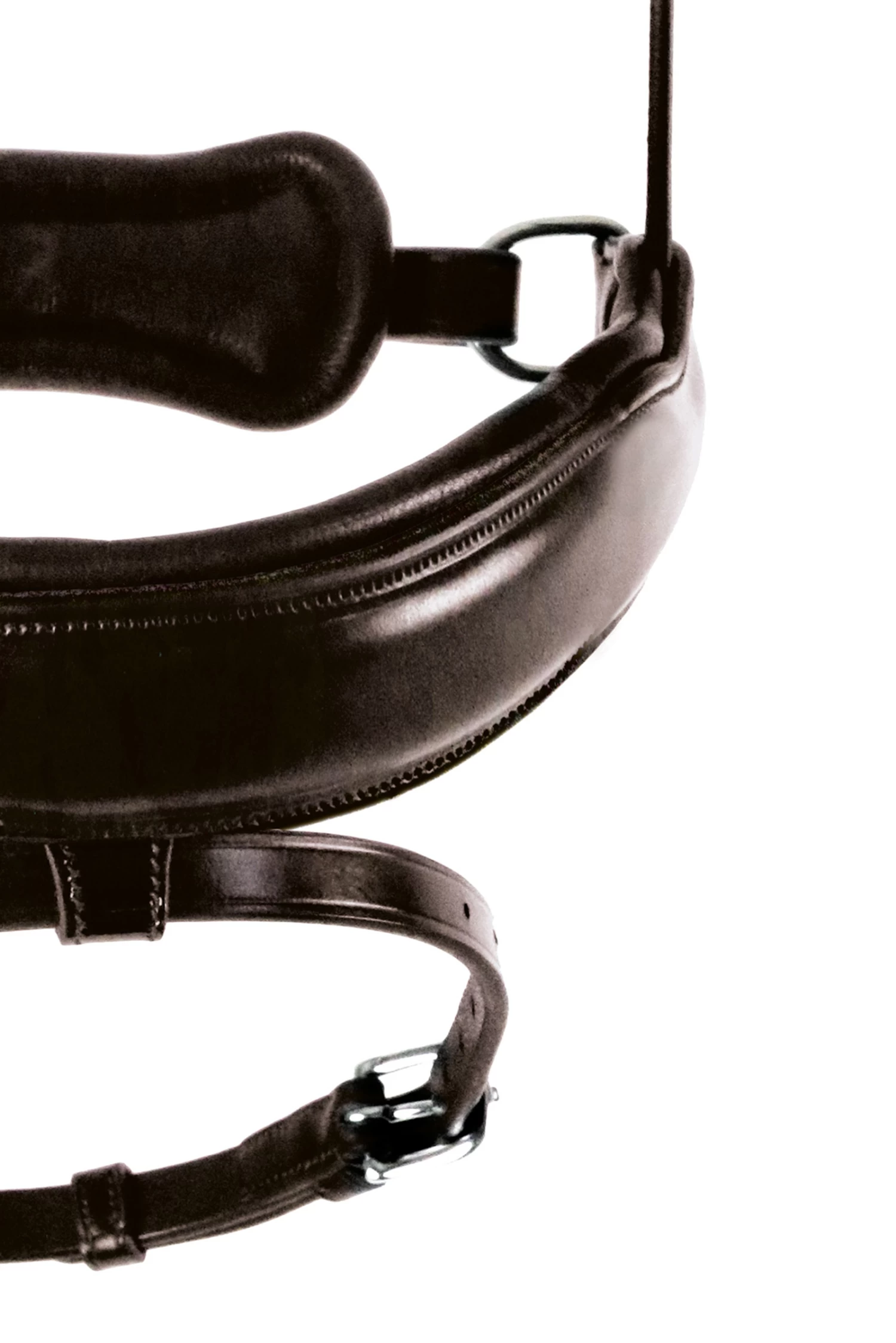 Schockemöhle Stanton Select Schwedisches Reithalfter – Bild 2